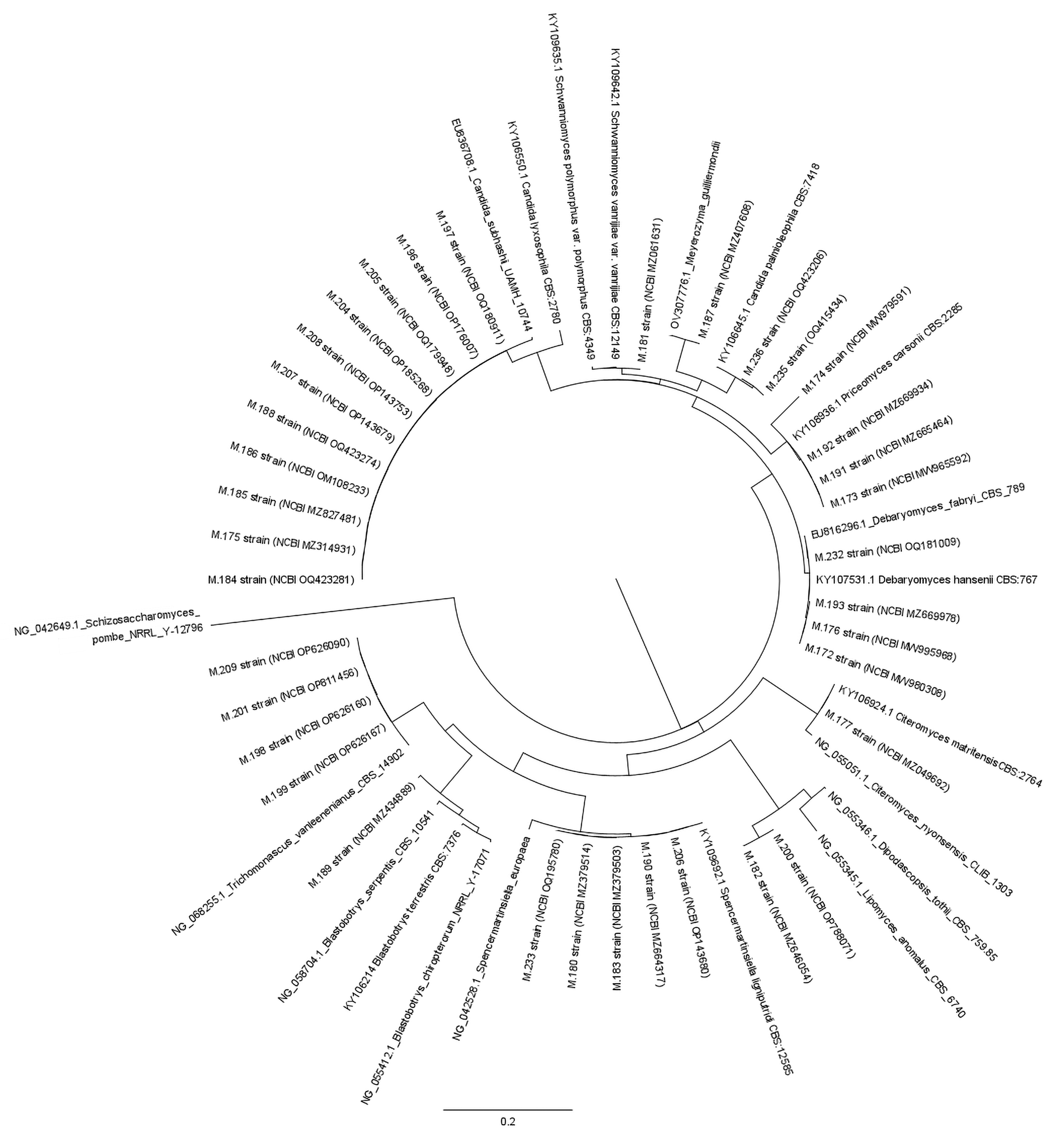 Jof 10 00442 g006 Jof 10 00442 g006