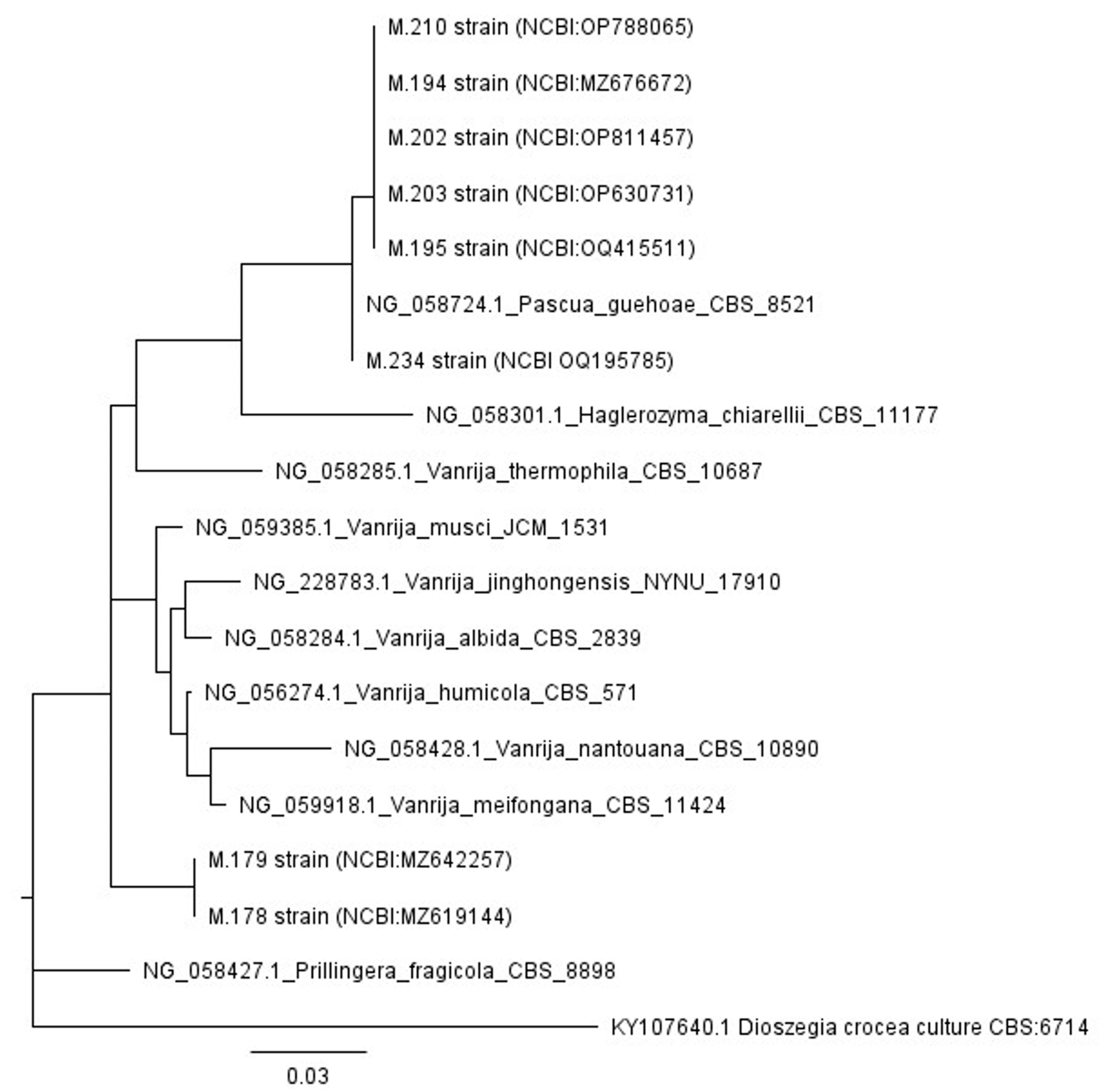 Jof 10 00442 g007 Jof 10 00442 g007