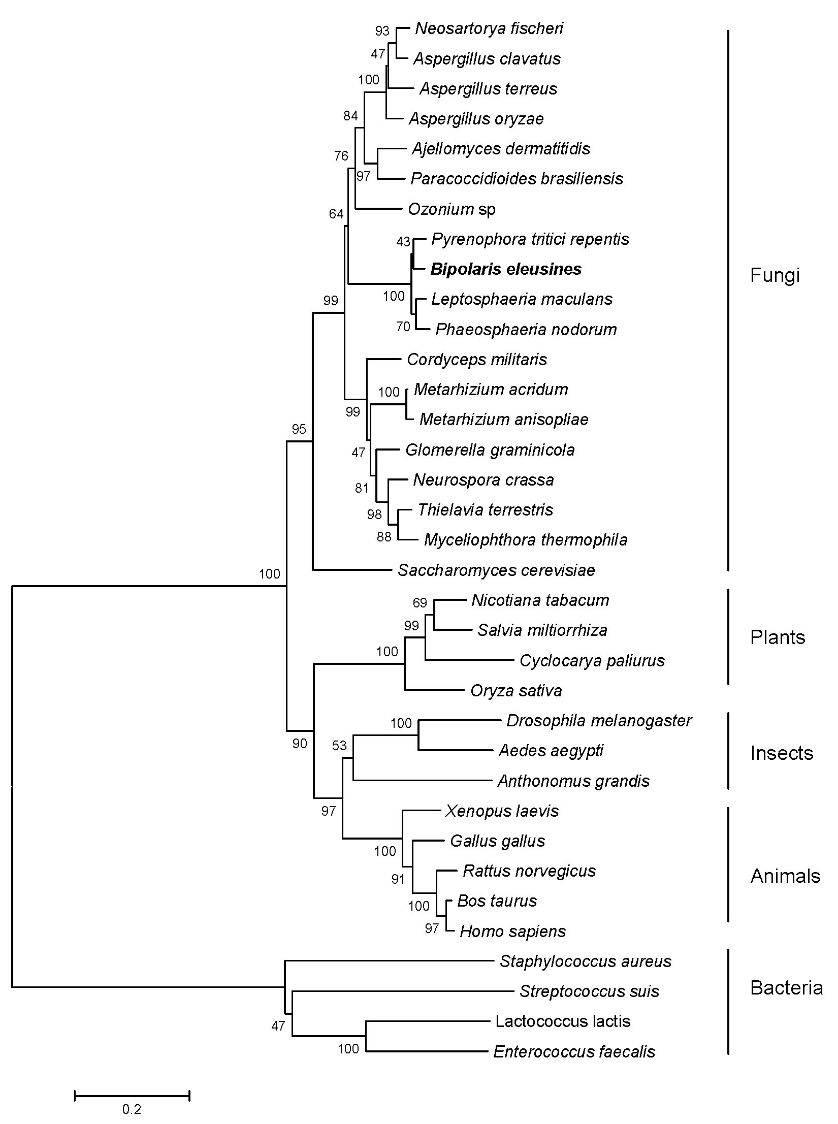 Jof 10 00445 g002 Jof 10 00445 g002