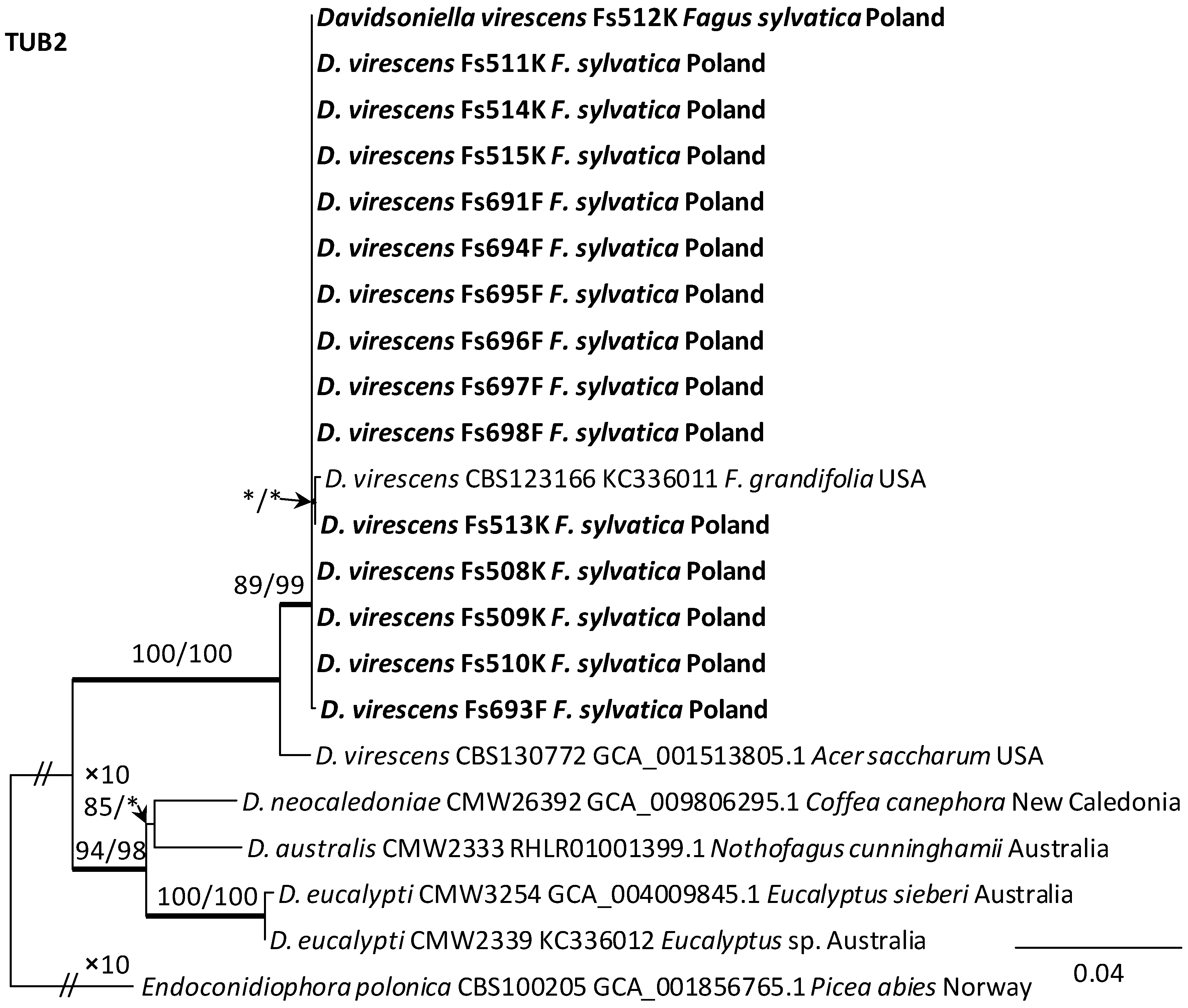 Jof 10 00465 g005 Jof 10 00465 g005