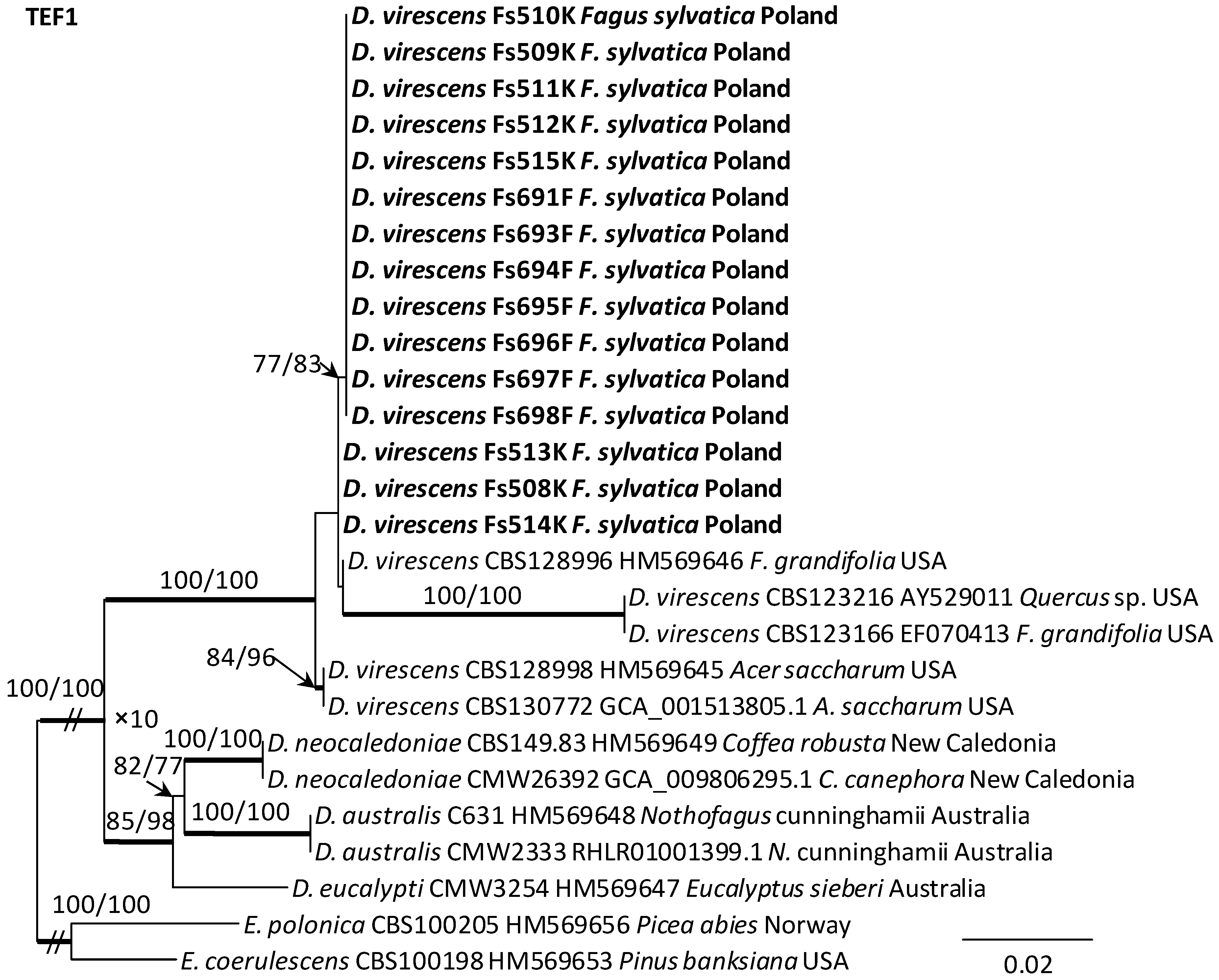Jof 10 00465 g006 Jof 10 00465 g006