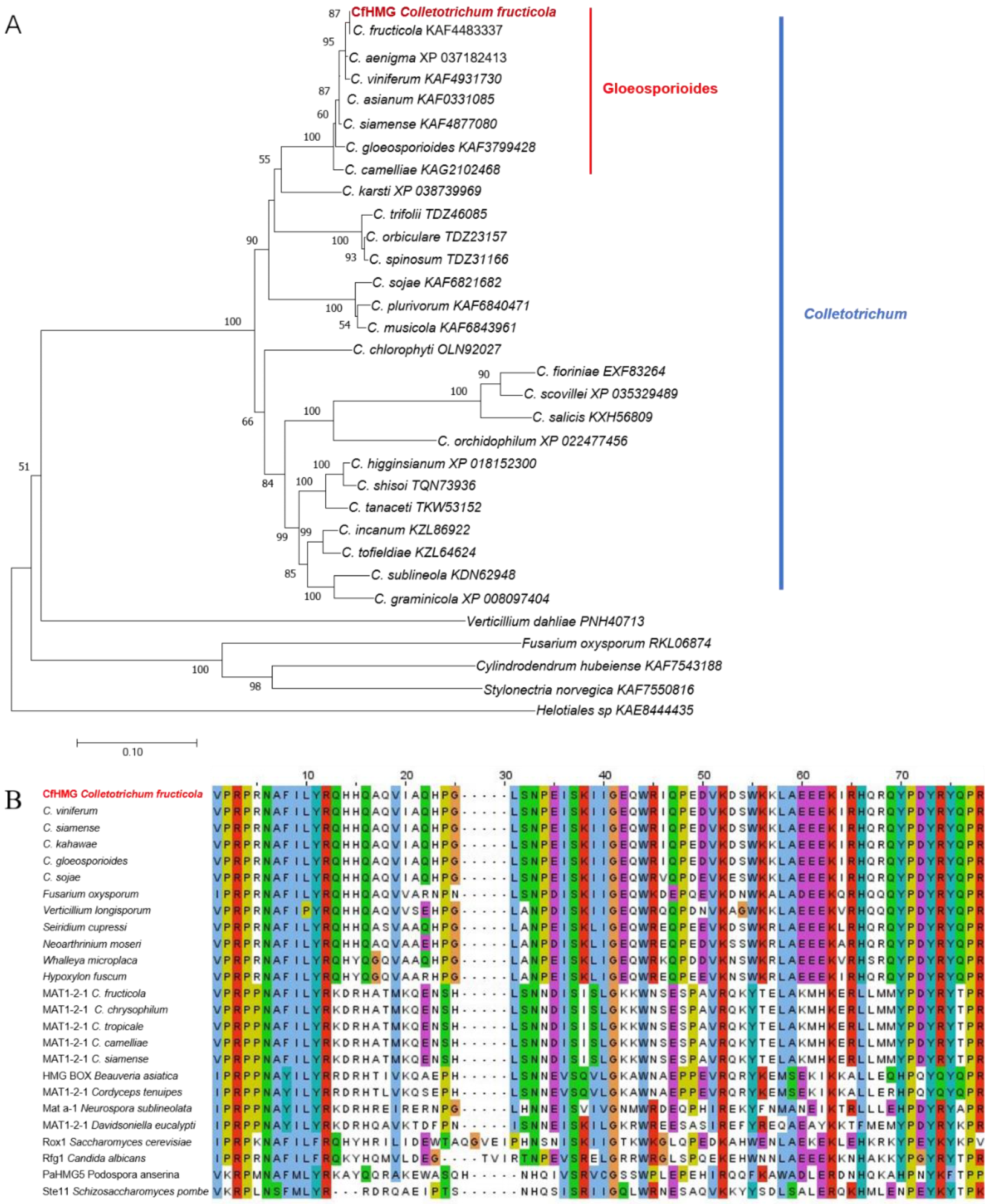 Jof 10 00478 g001 Jof 10 00478 g001