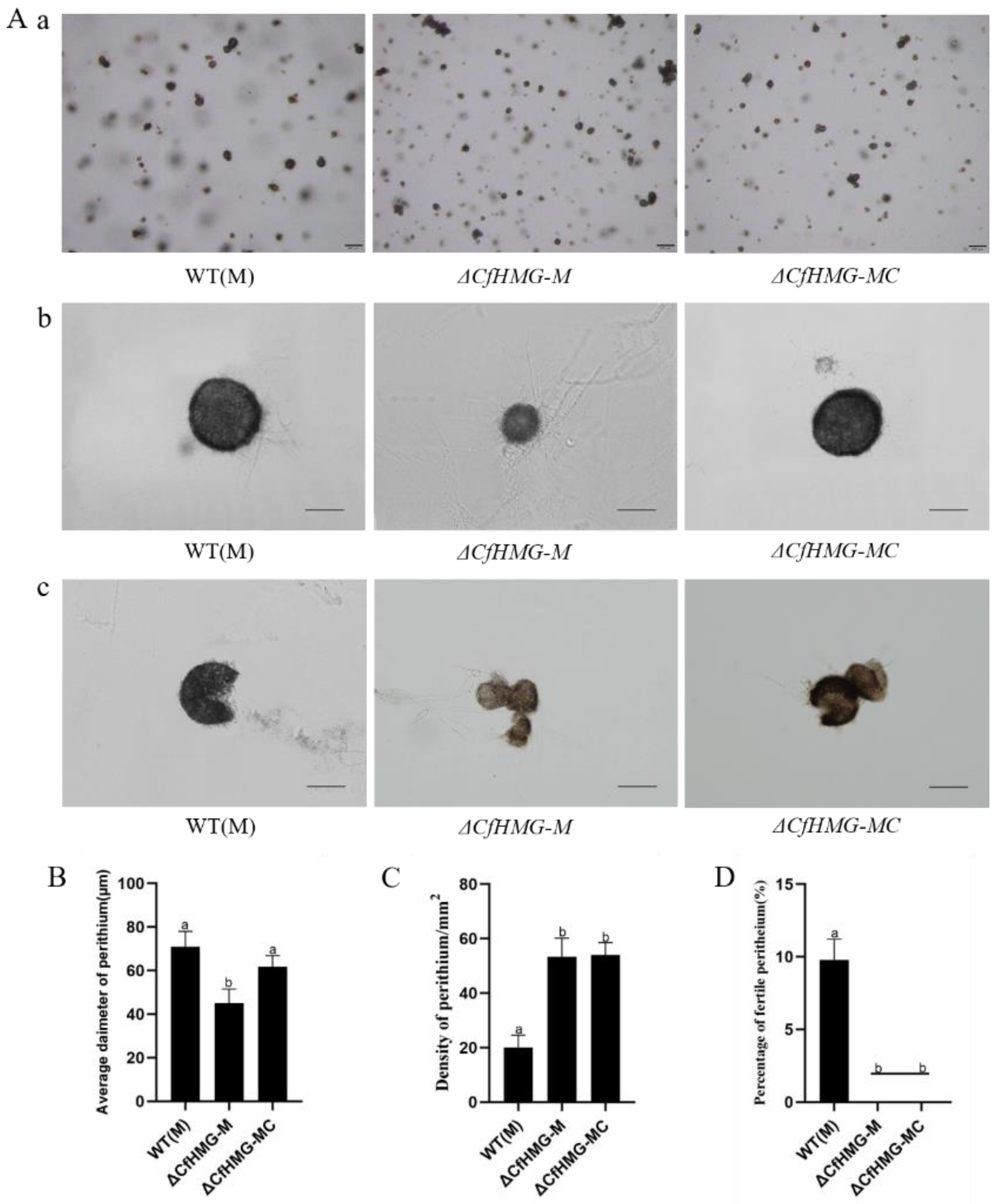 Jof 10 00478 g003 Jof 10 00478 g003