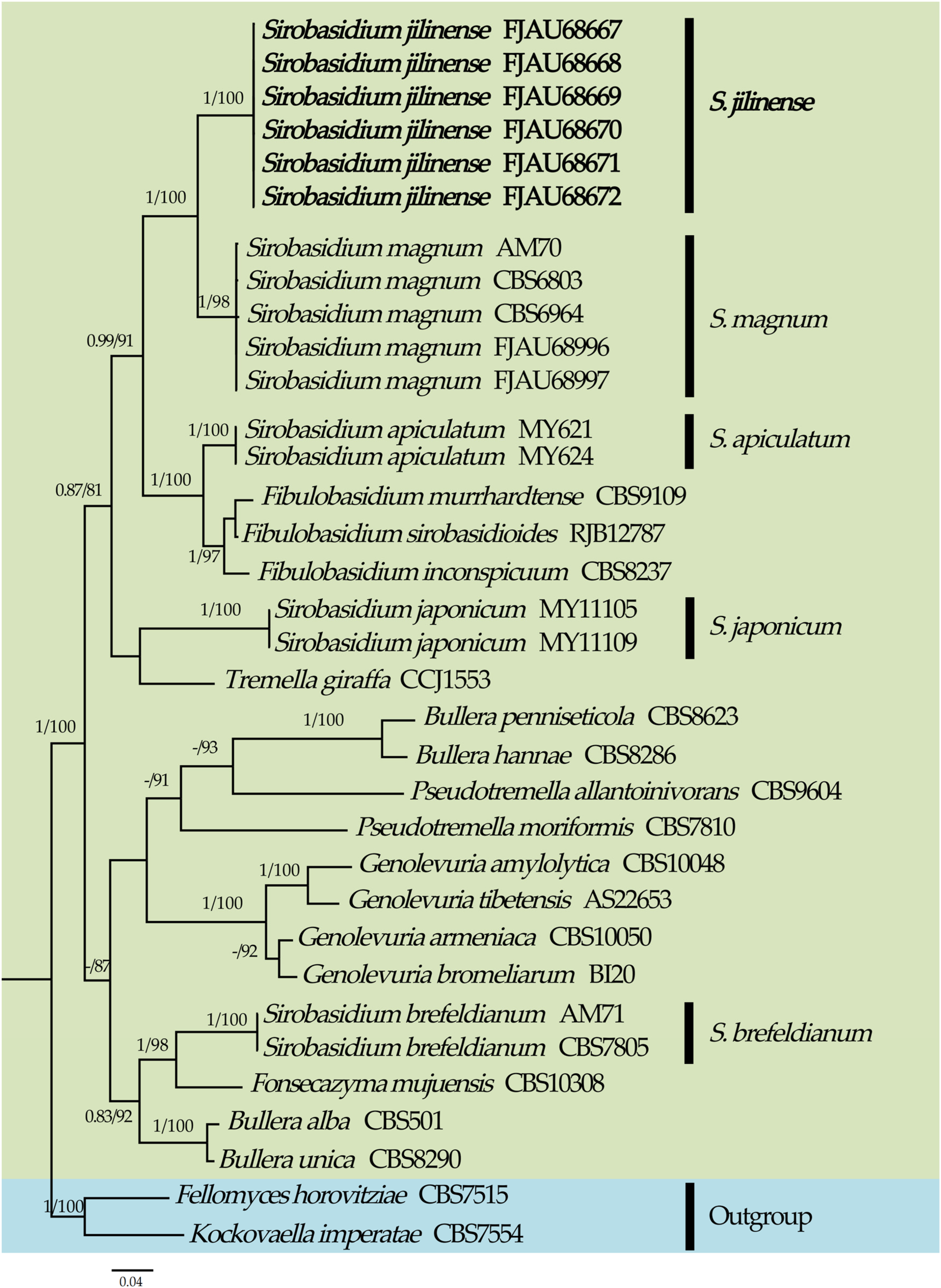 Jof 10 00480 g001 Jof 10 00480 g001