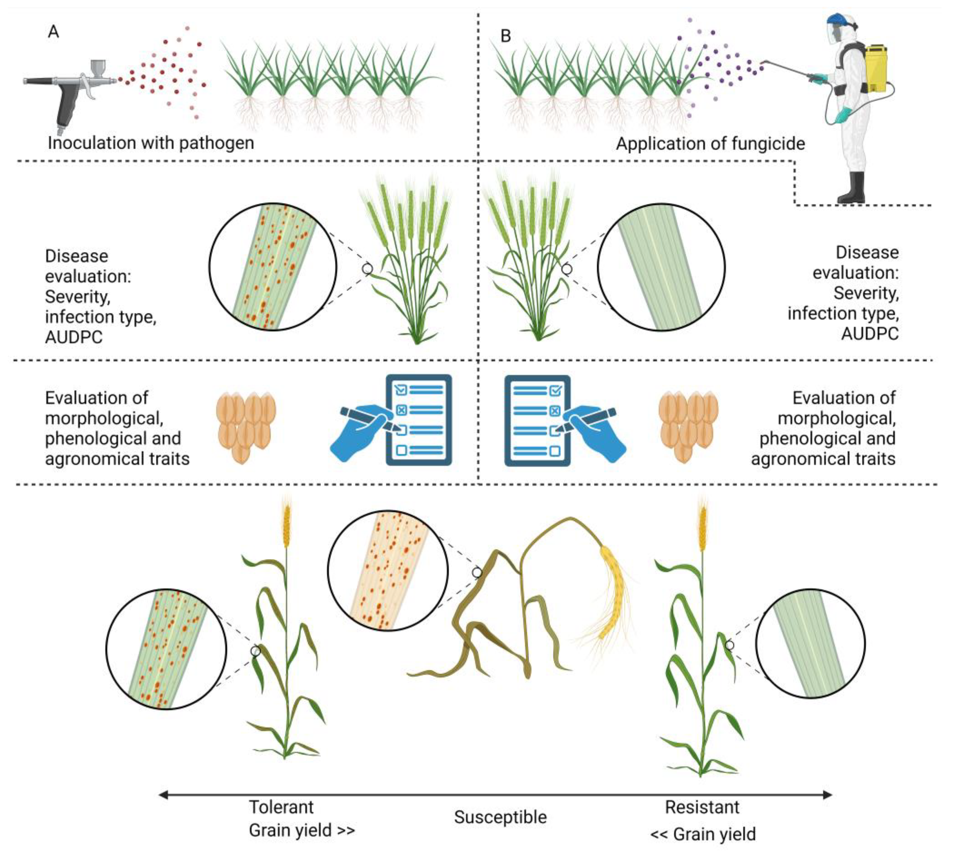 Jof 10 00482 g002 Jof 10 00482 g002