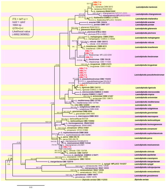 Phylogenetic and Pathogenic Evidence Reveals Novel Host–Pathogen