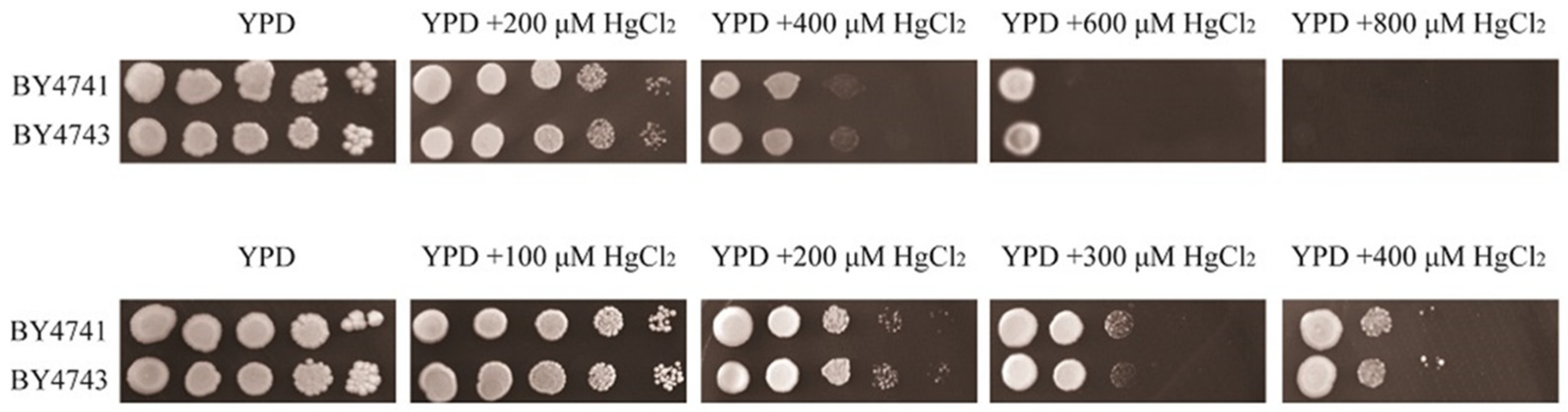 Jof 10 00492 g001 Jof 10 00492 g001