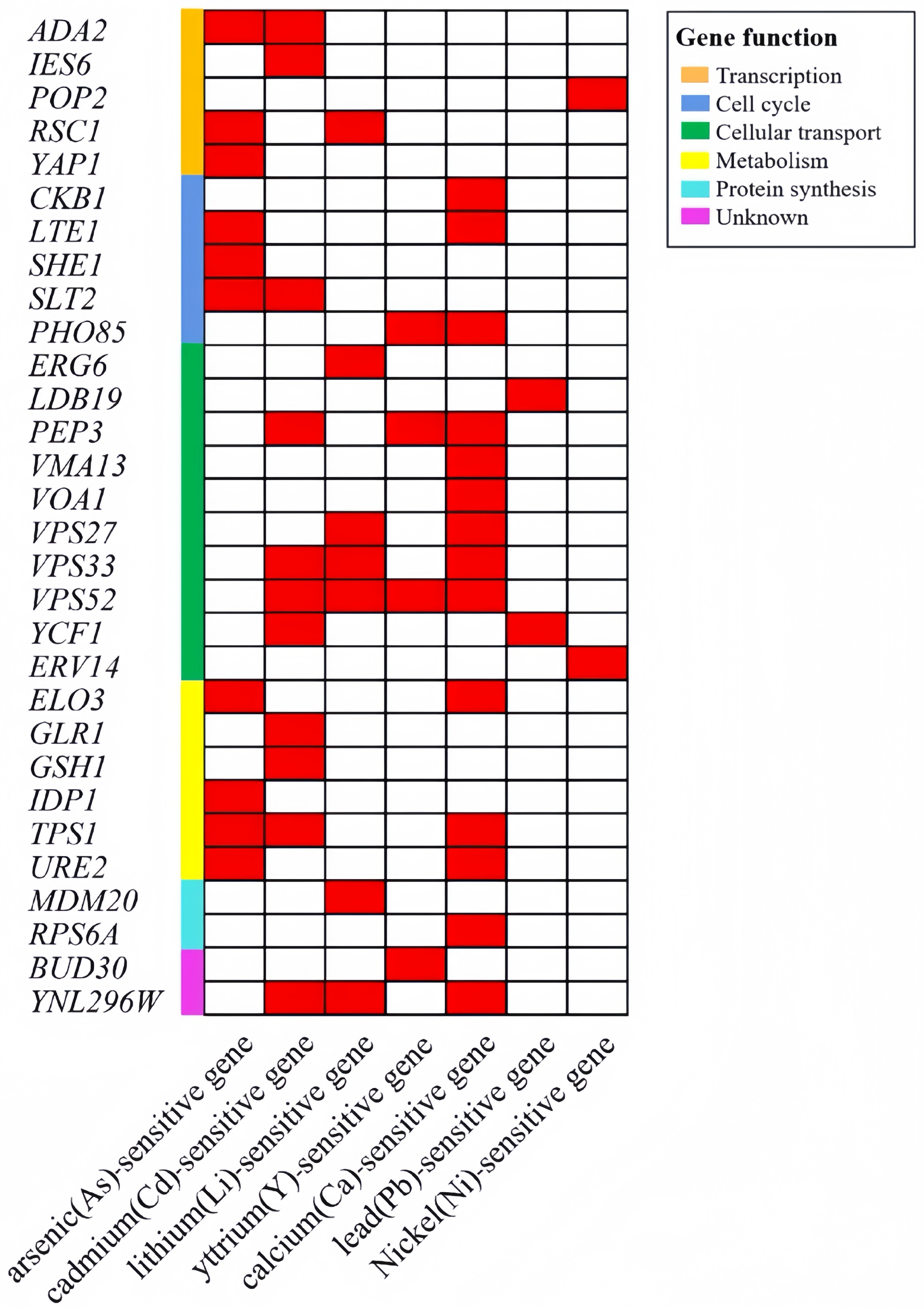 Jof 10 00492 g004 Jof 10 00492 g004