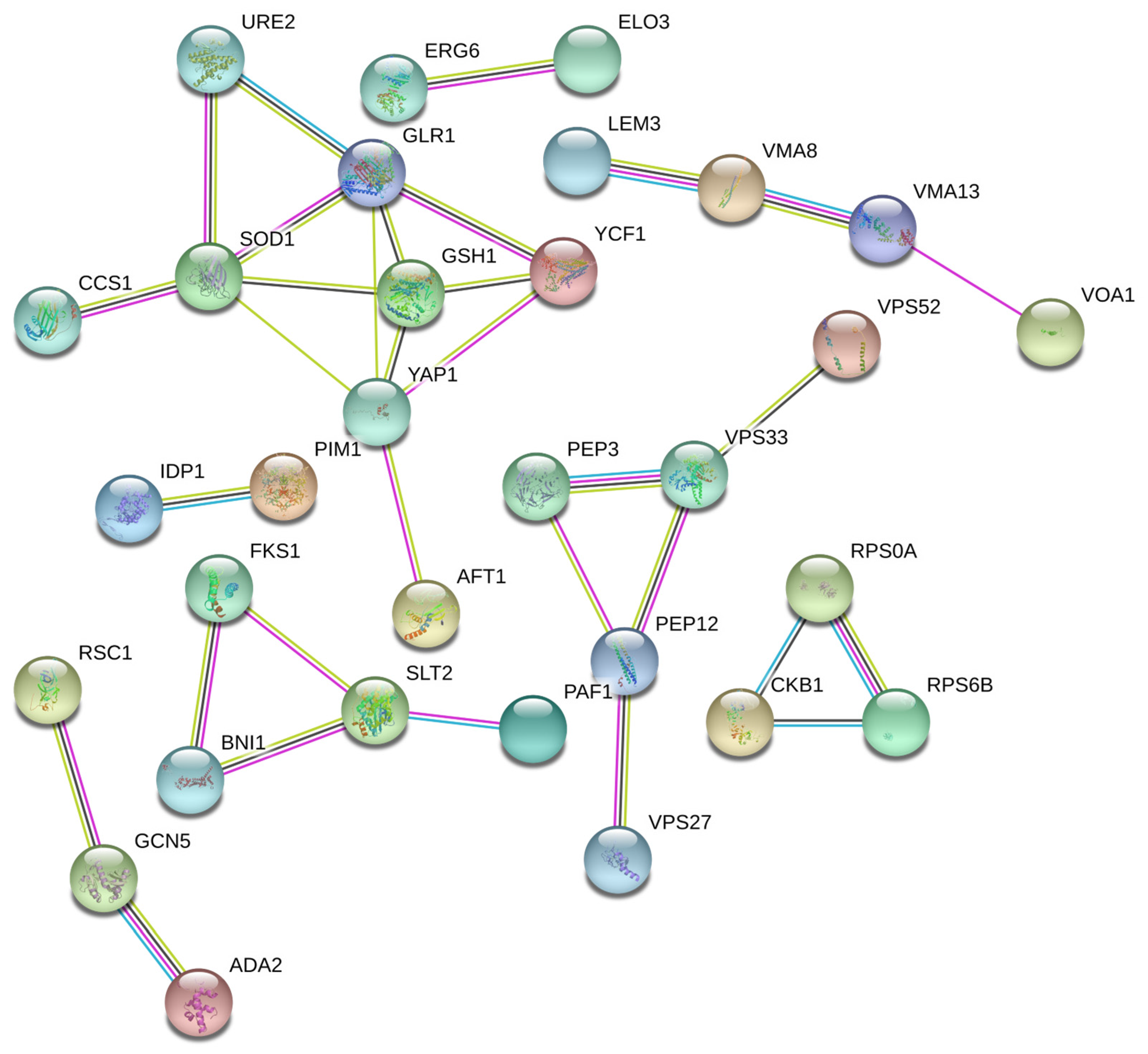 Jof 10 00492 g007 Jof 10 00492 g007