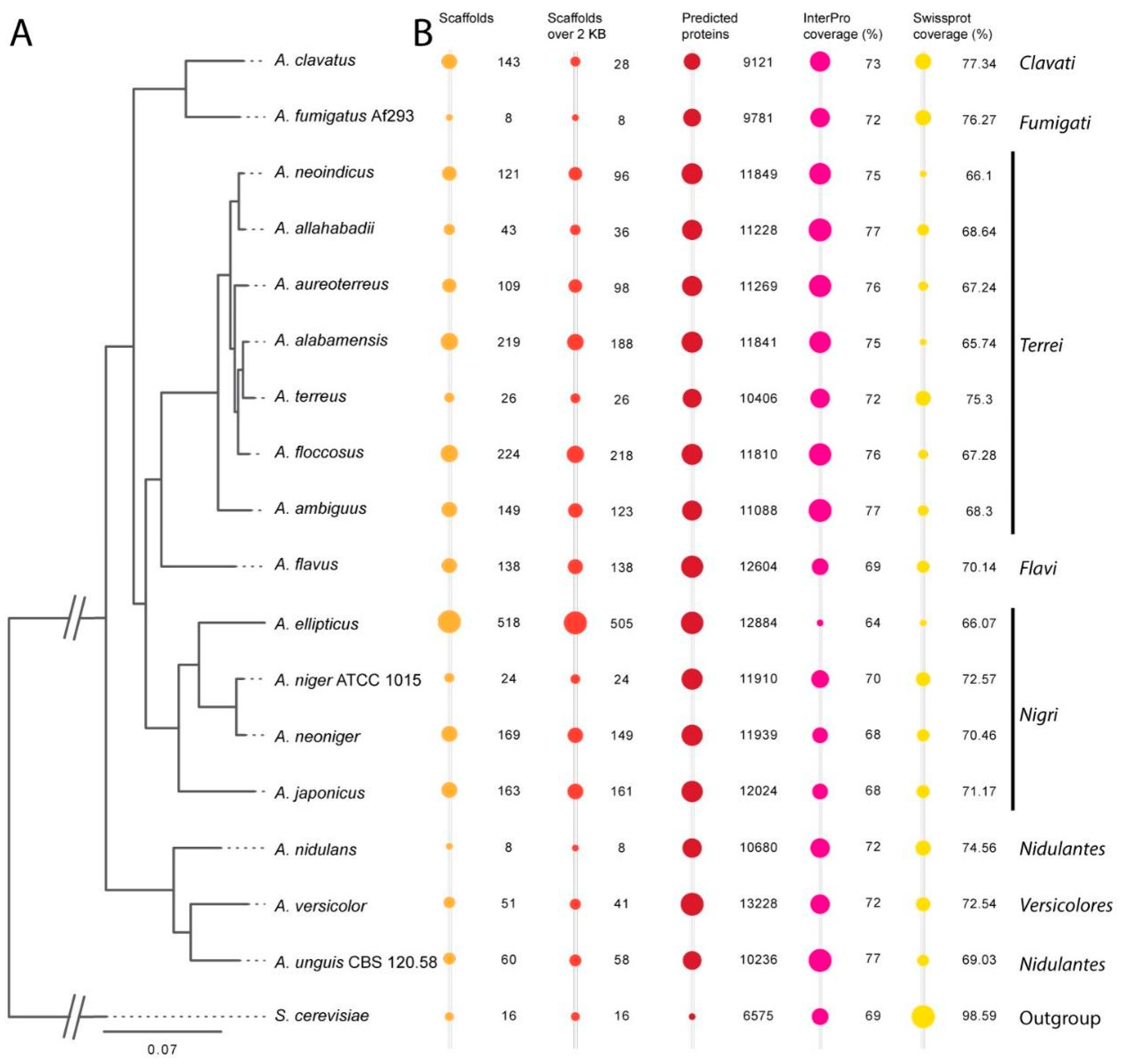Jof 10 00507 g001 Jof 10 00507 g001
