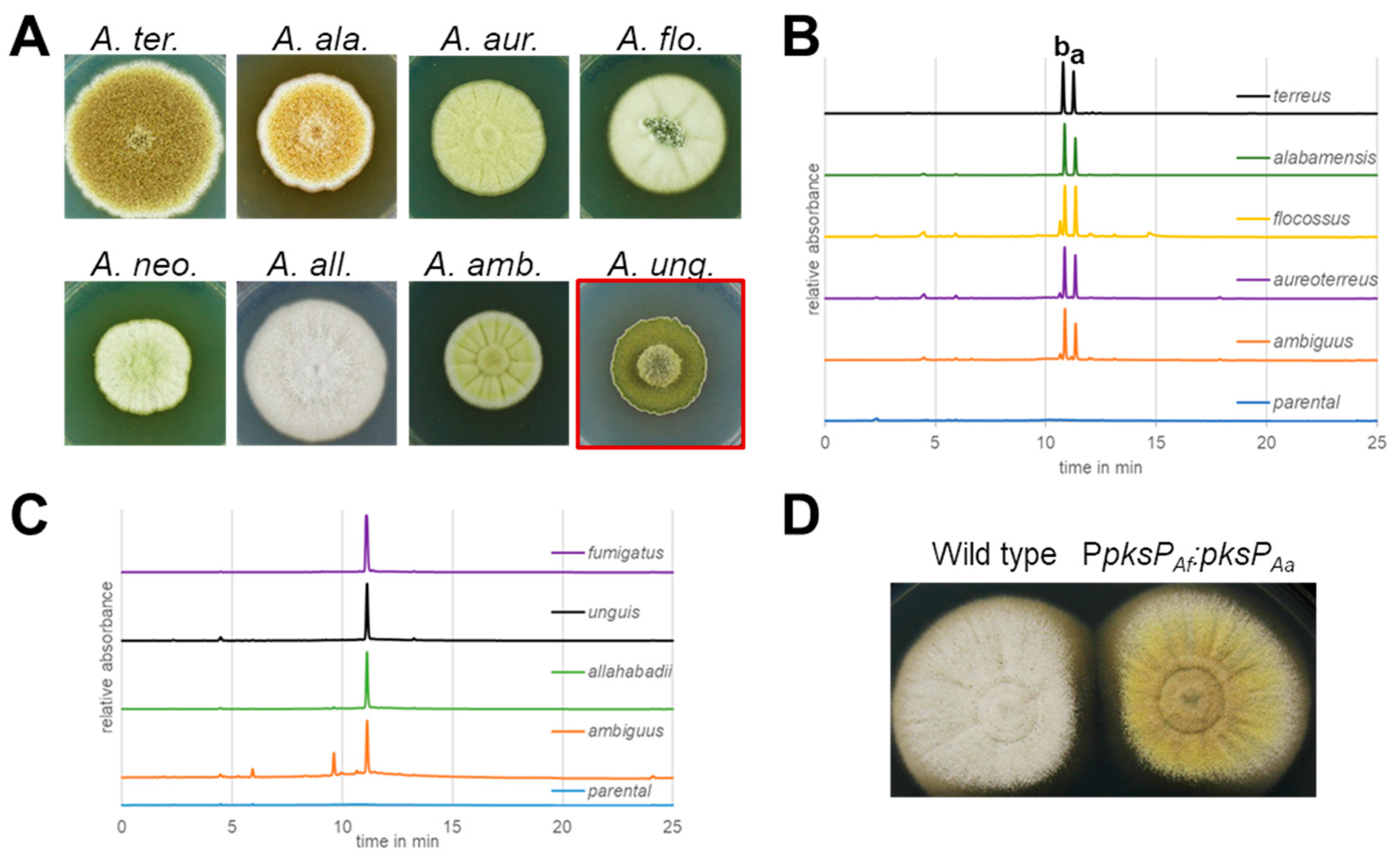 Jof 10 00507 g004 Jof 10 00507 g004