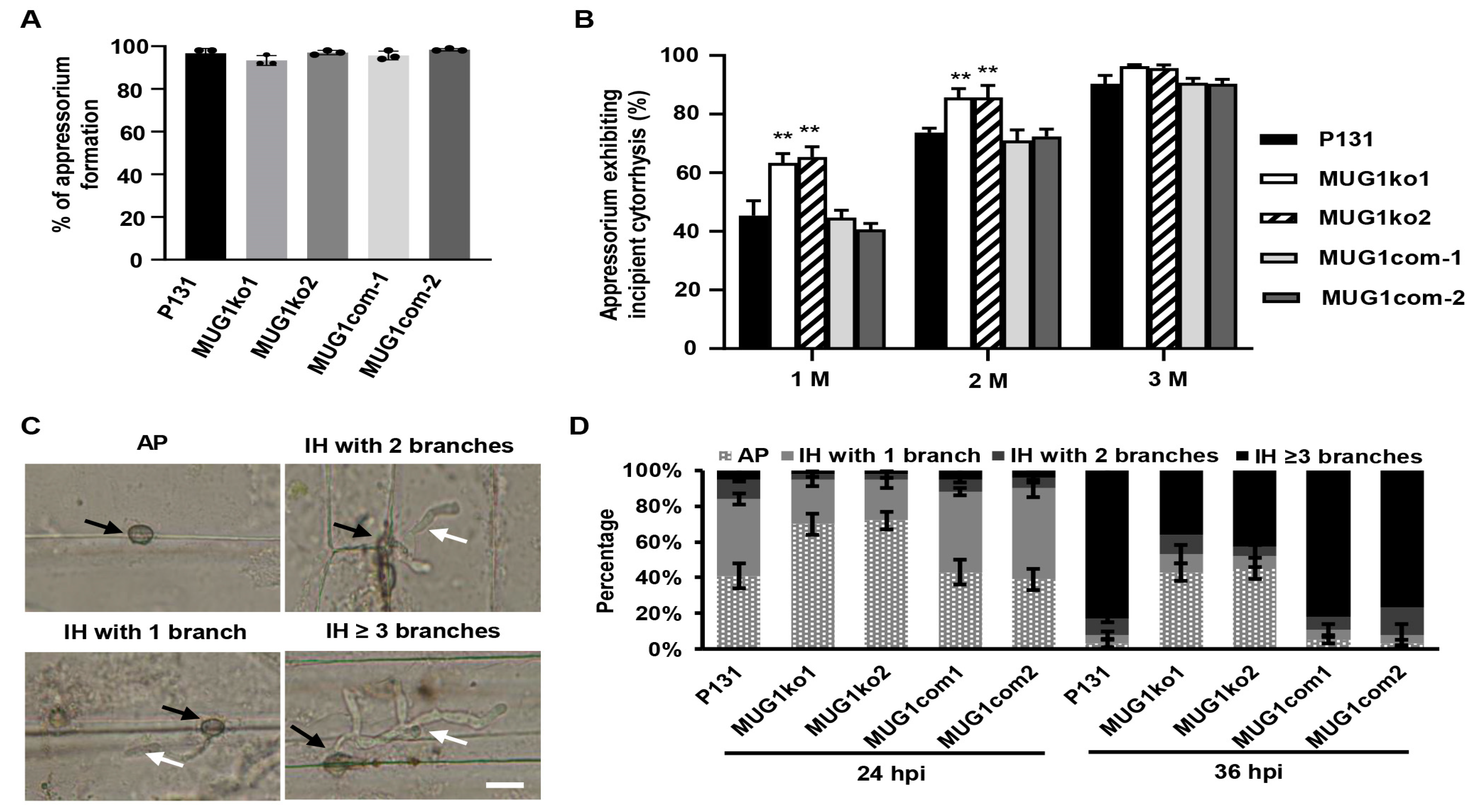 Jof 10 00511 g004 Jof 10 00511 g004