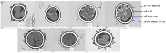 GEN Simulating Crystal Structure, Acidity, Proton Distribution