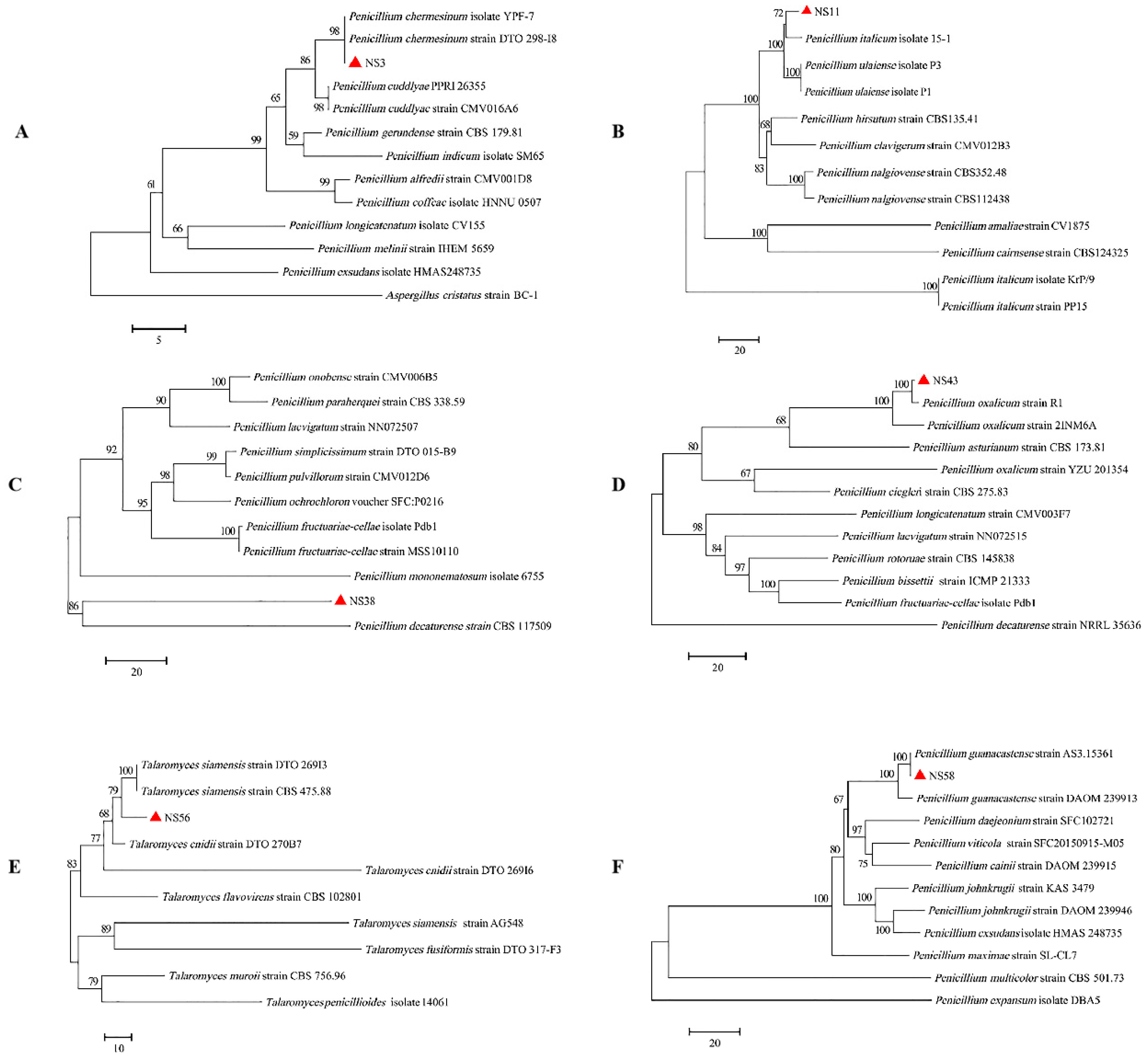Jof 10 00573 g003 Jof 10 00573 g003