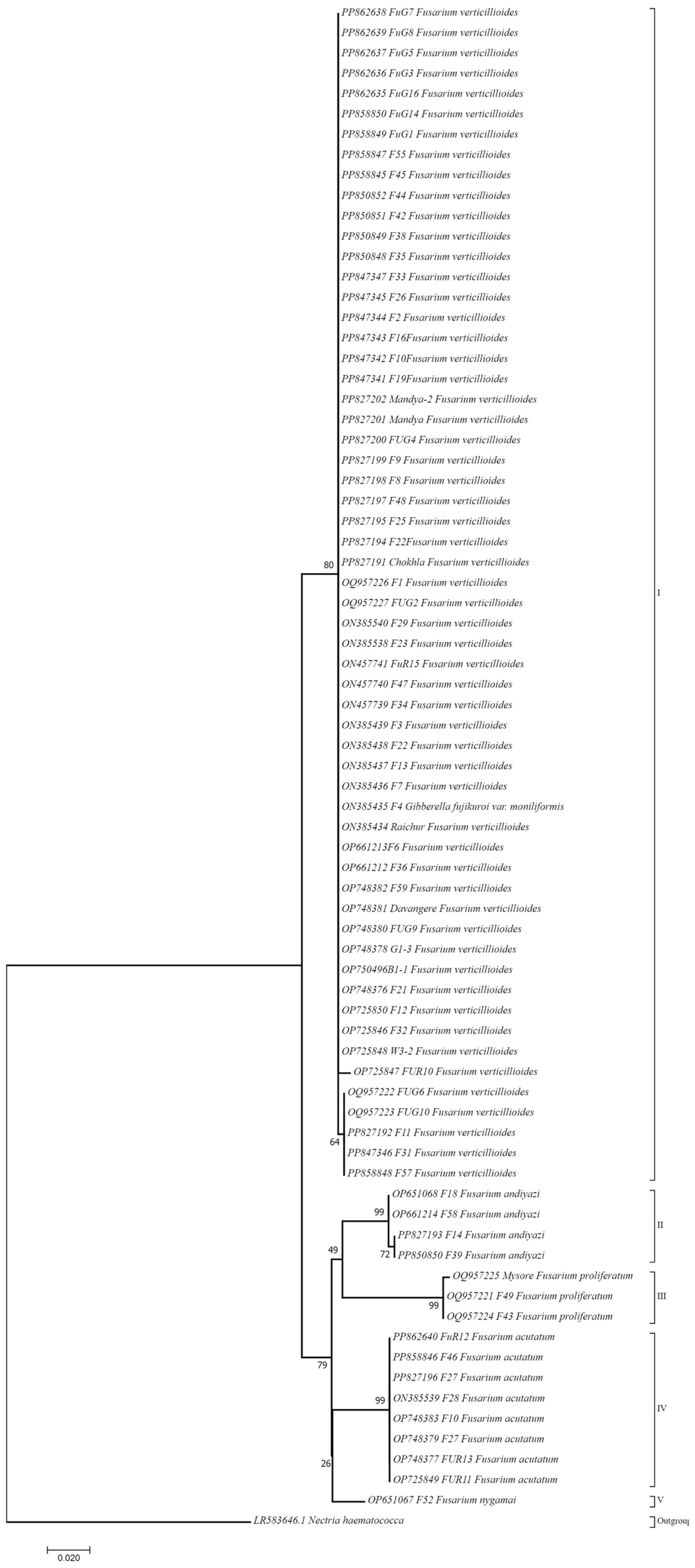 Jof 10 00574 g005 Jof 10 00574 g005
