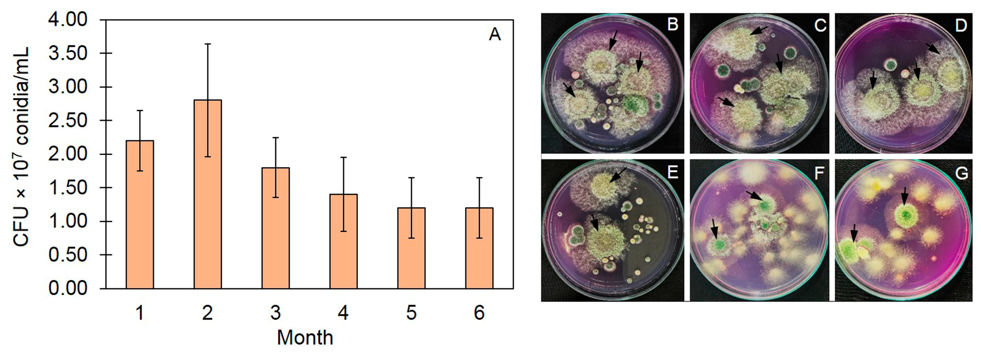 Jof 10 00582 g002 Jof 10 00582 g002