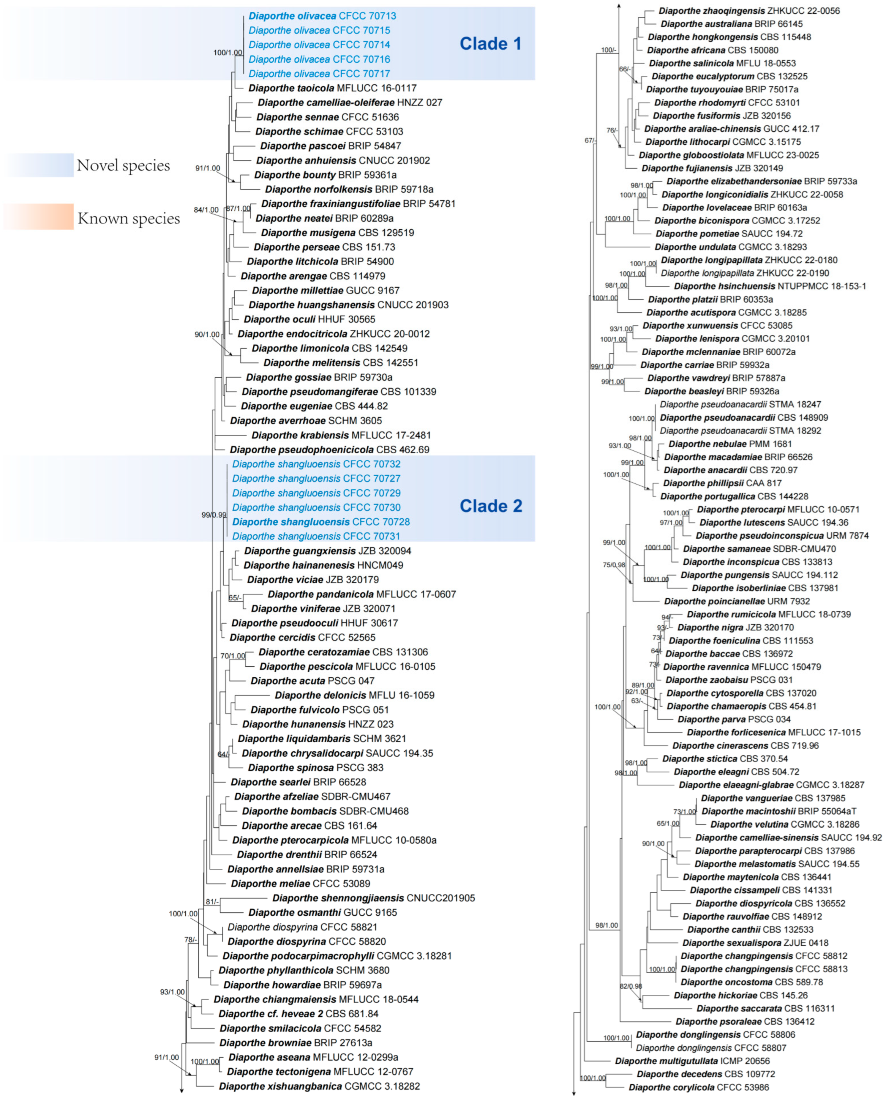 Jof 10 00583 g002a Jof 10 00583 g002a