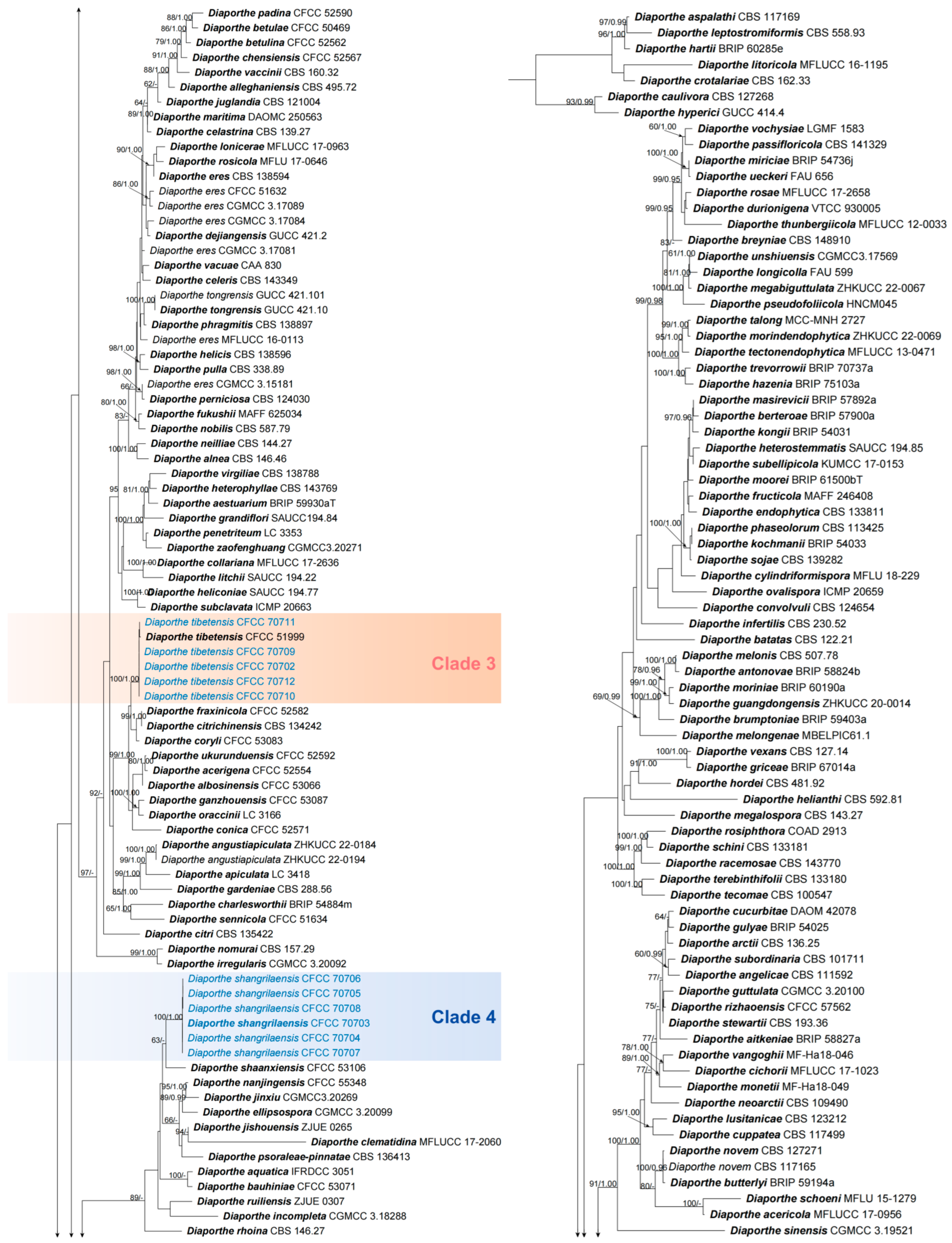 Jof 10 00583 g002b Jof 10 00583 g002b