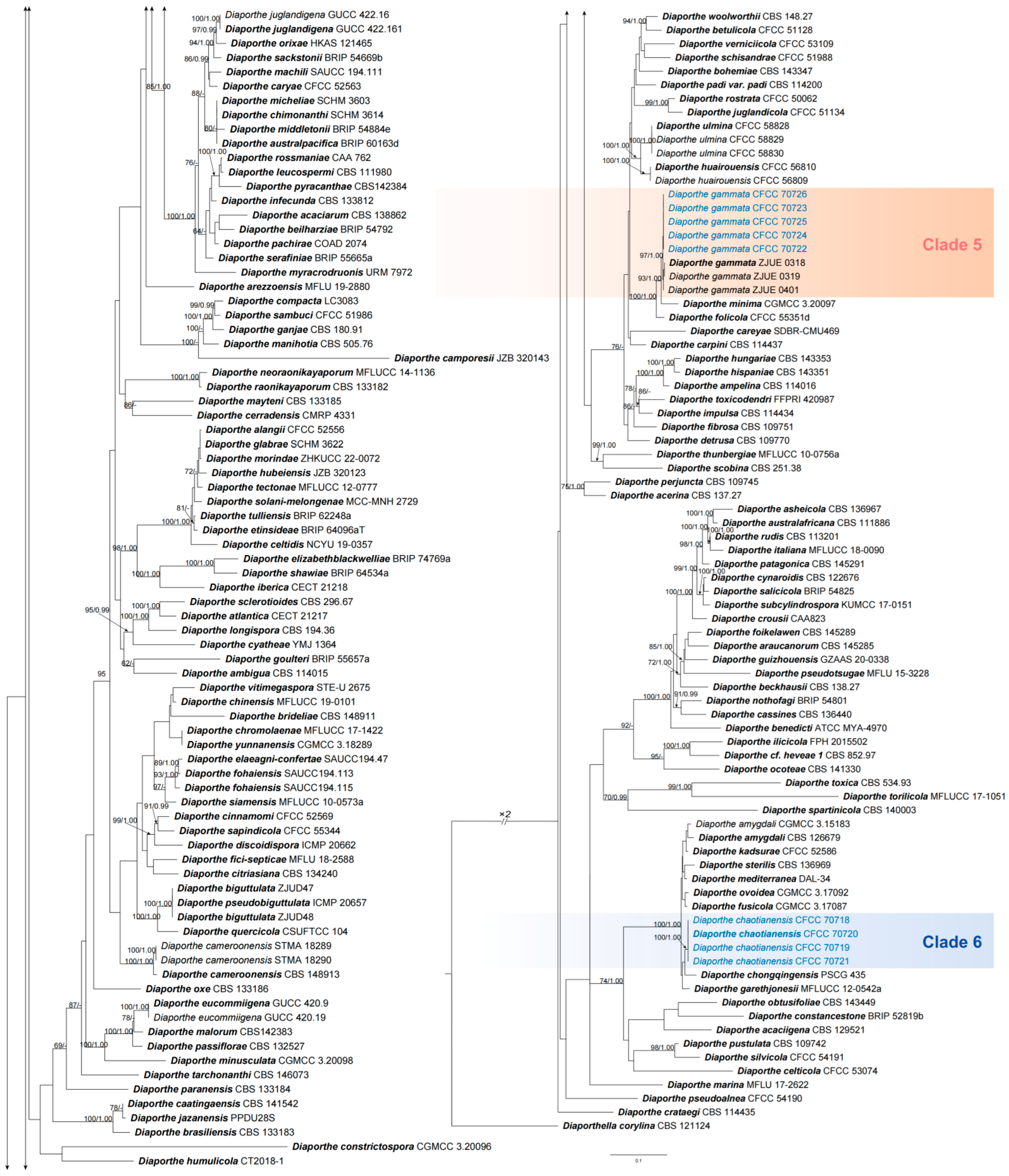 Jof 10 00583 g002c Jof 10 00583 g002c