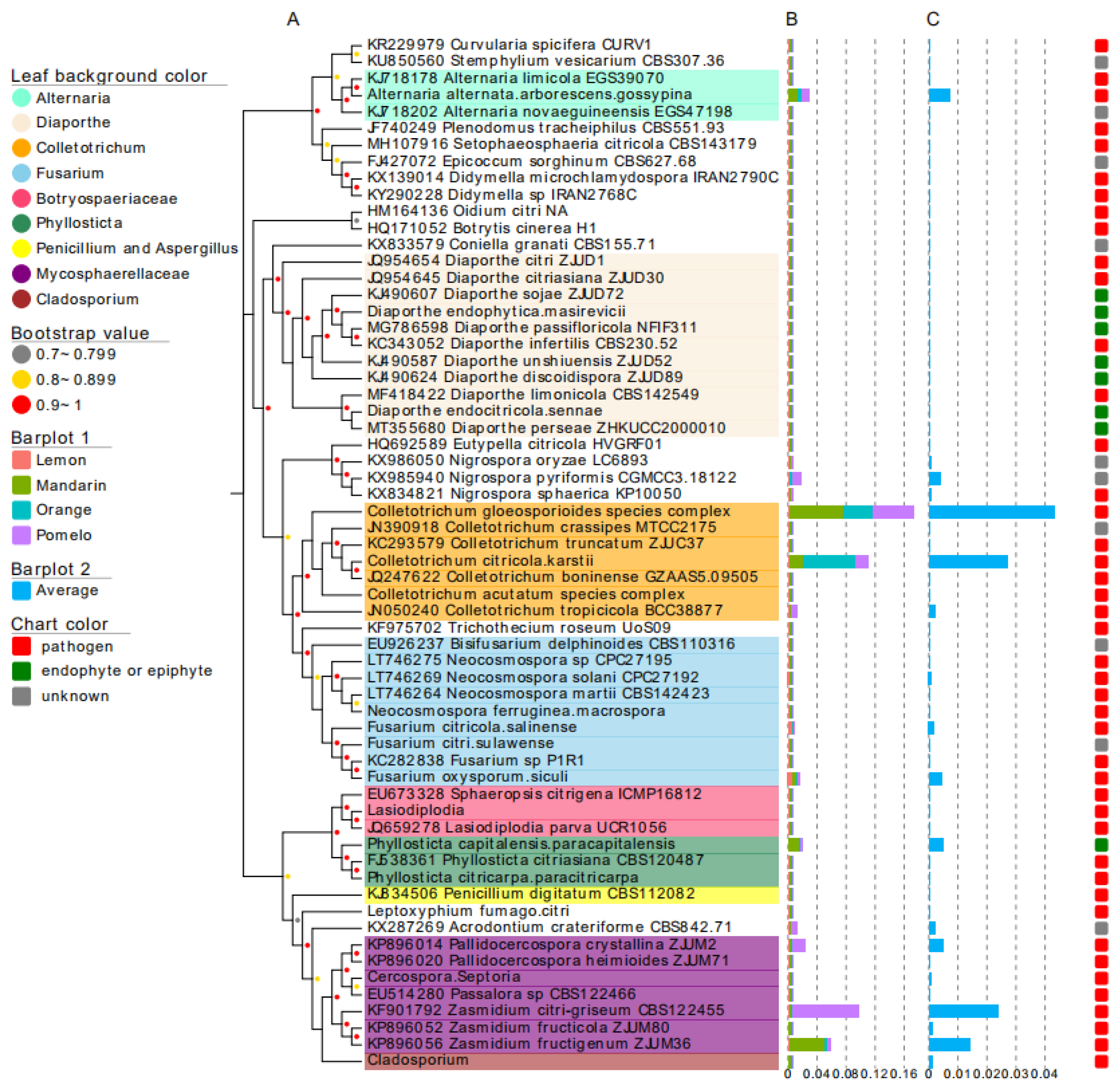 Jof 10 00596 g003 Jof 10 00596 g003