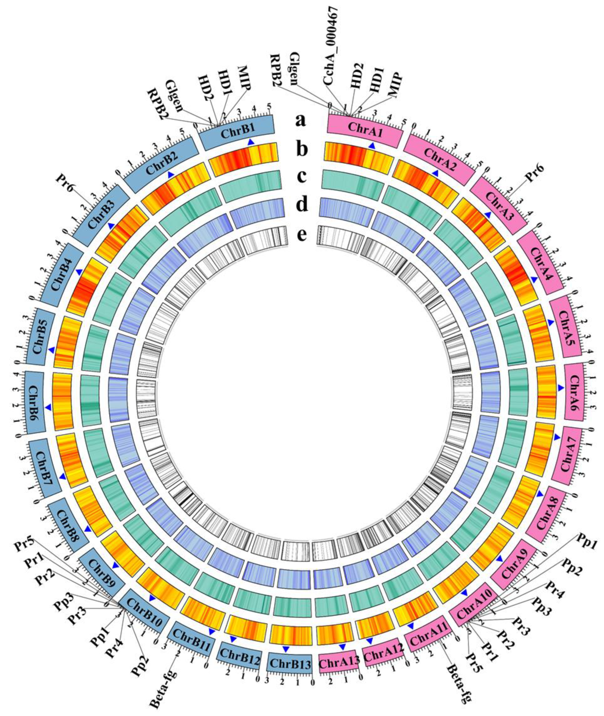Jof 10 00602 g002 Jof 10 00602 g002
