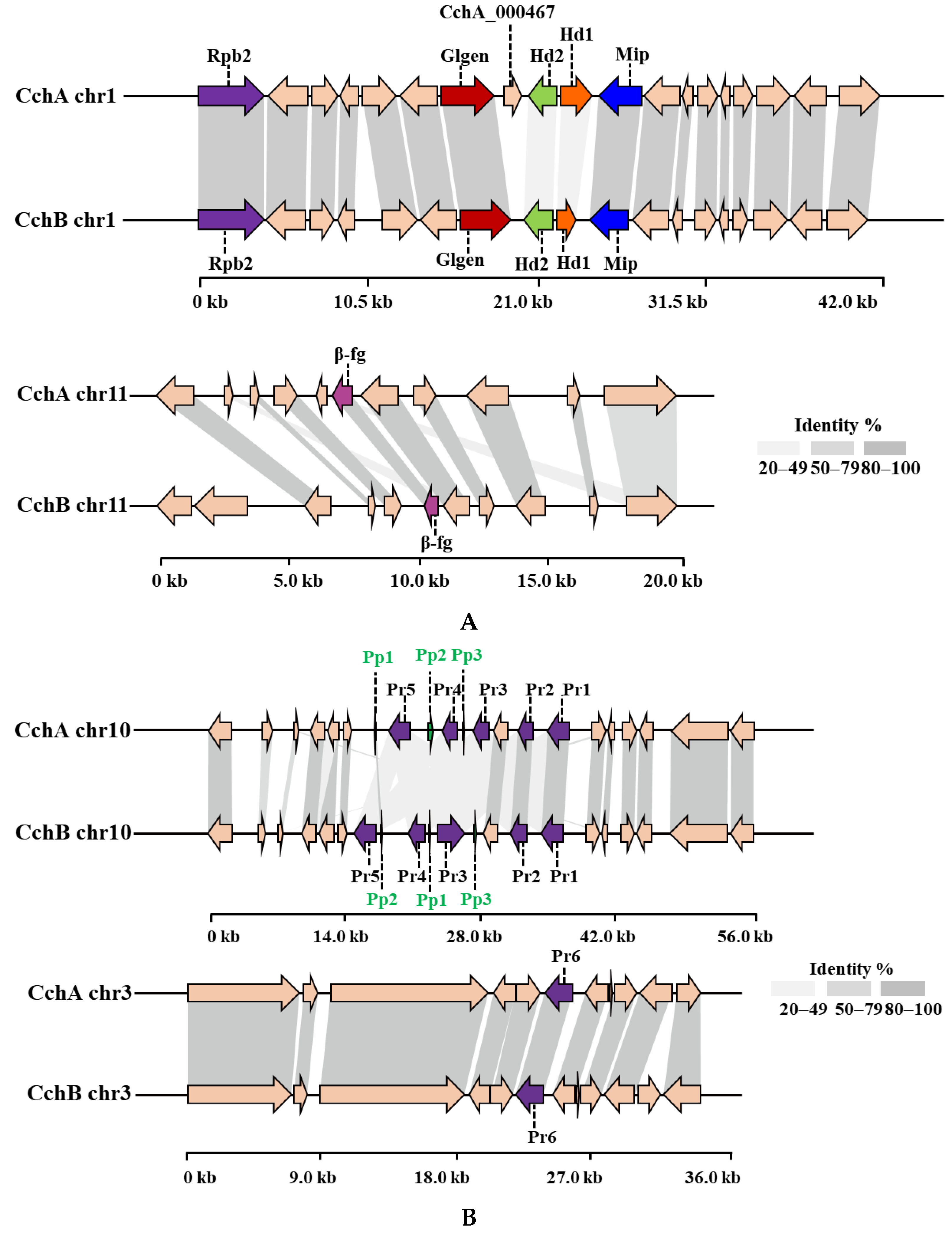 Jof 10 00602 g004 Jof 10 00602 g004