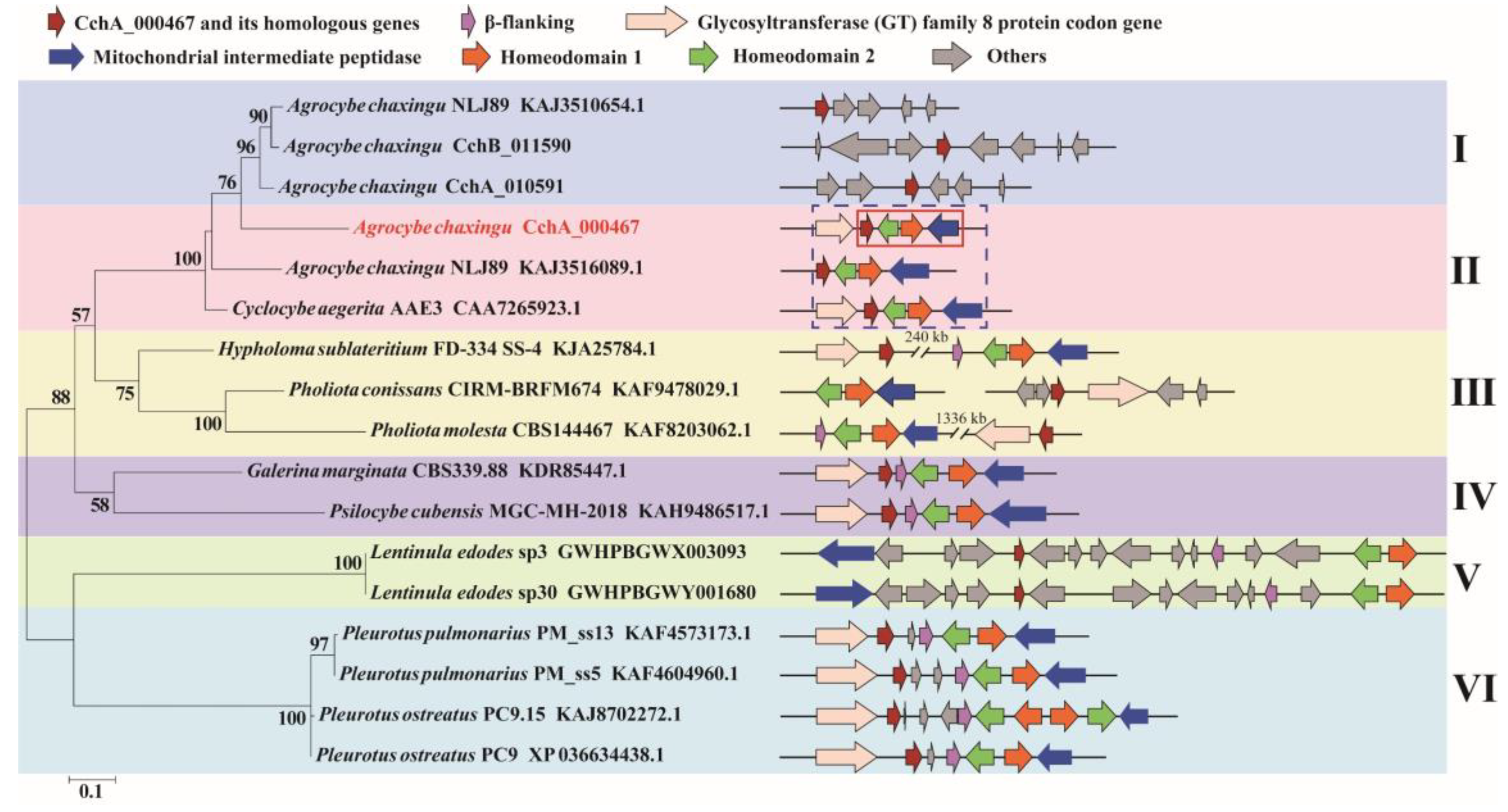 Jof 10 00602 g005 Jof 10 00602 g005