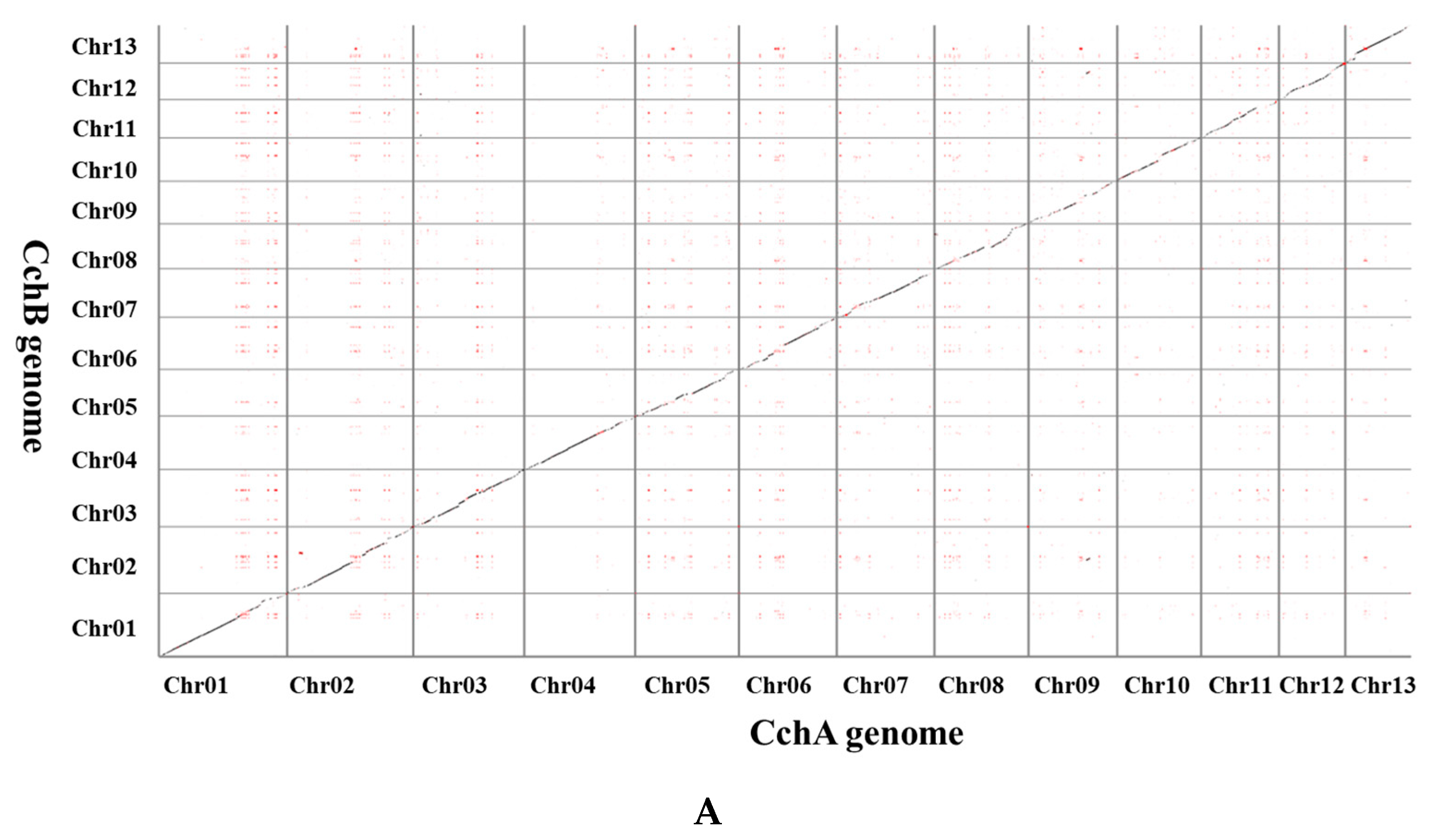 Jof 10 00602 g006a Jof 10 00602 g006a