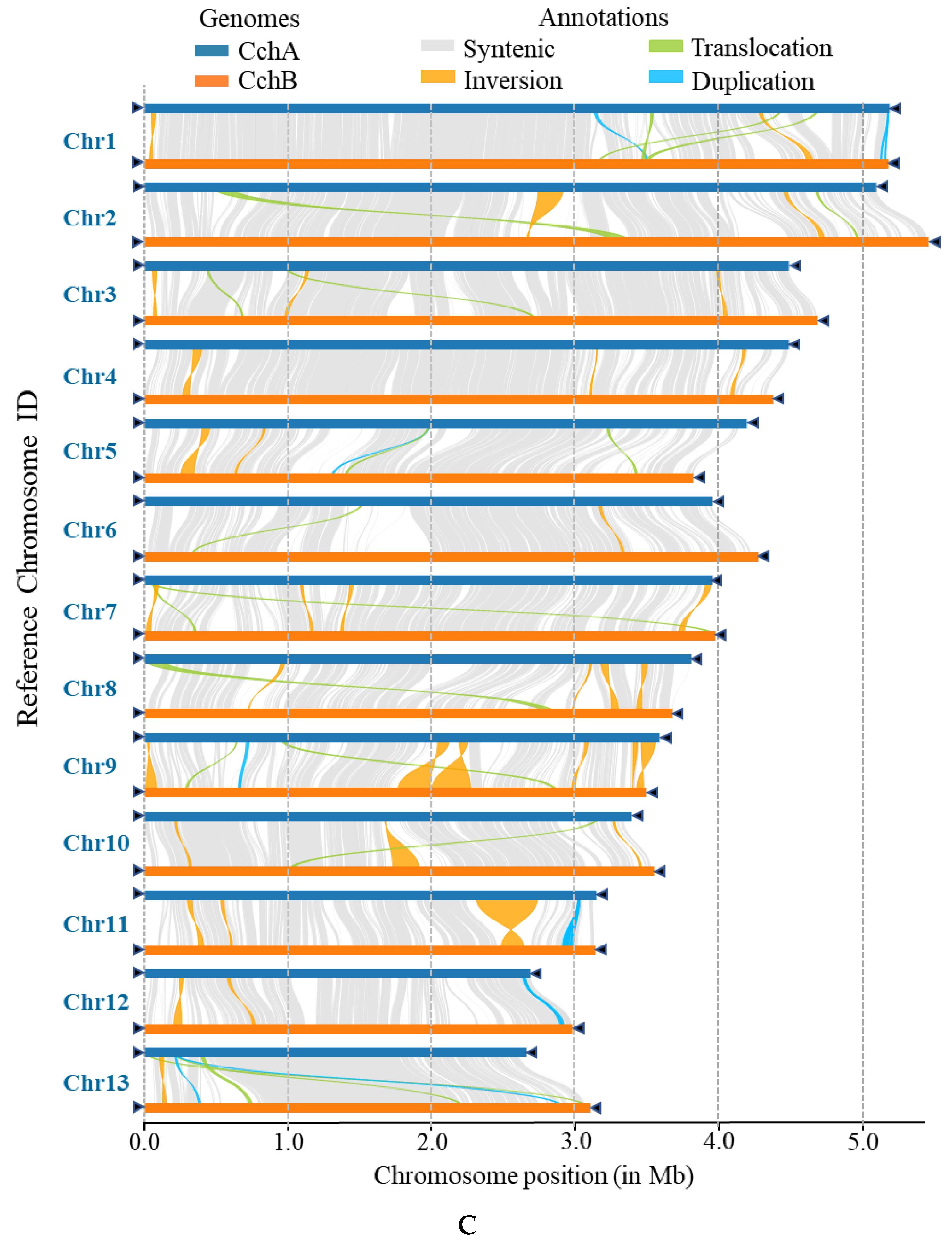 Jof 10 00602 g006c Jof 10 00602 g006c