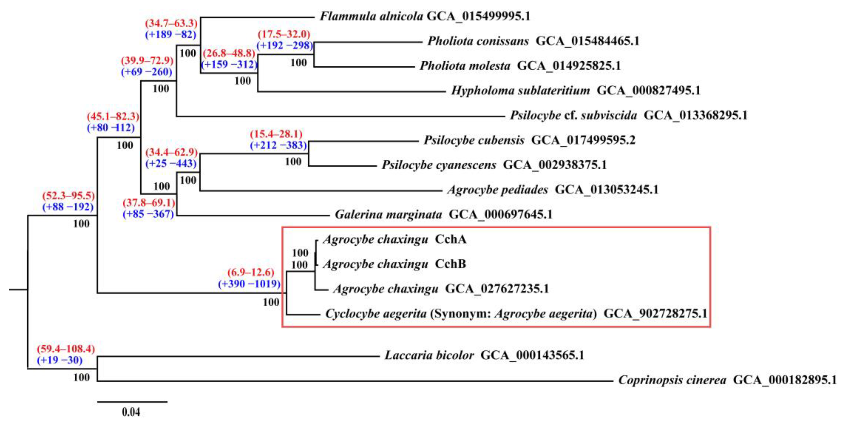 Jof 10 00602 g007 Jof 10 00602 g007