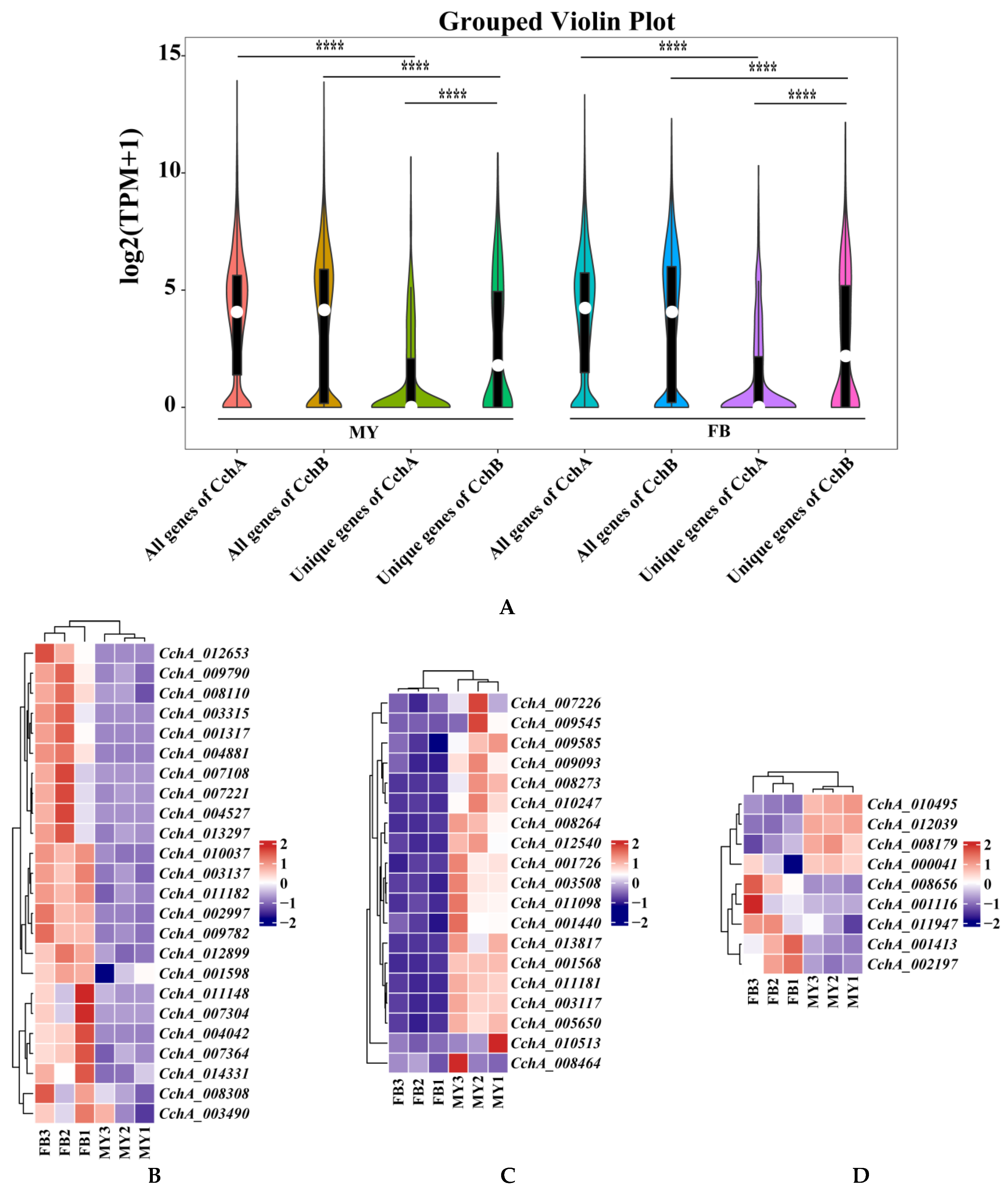 Jof 10 00602 g008a Jof 10 00602 g008a