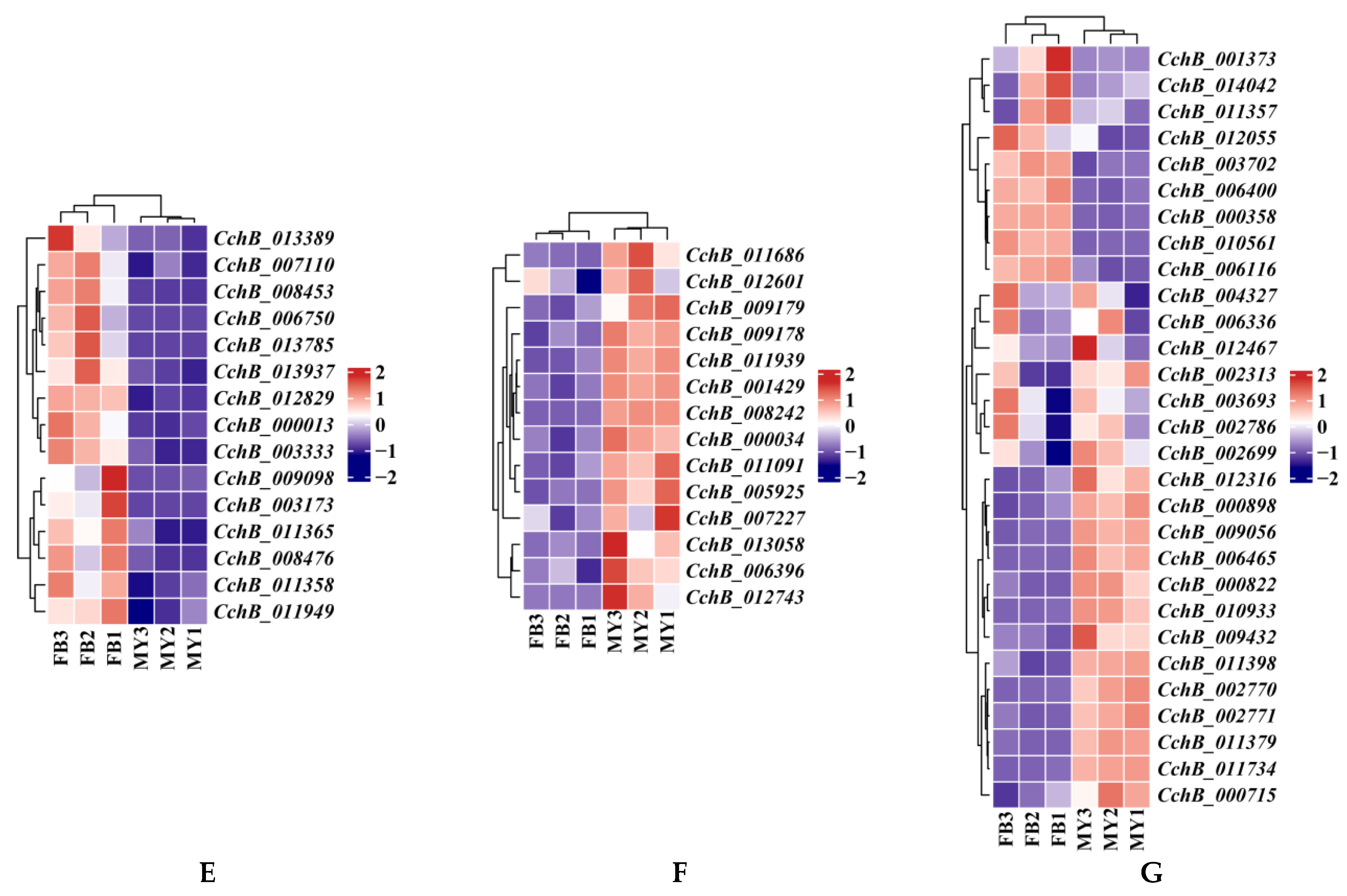 Jof 10 00602 g008b Jof 10 00602 g008b