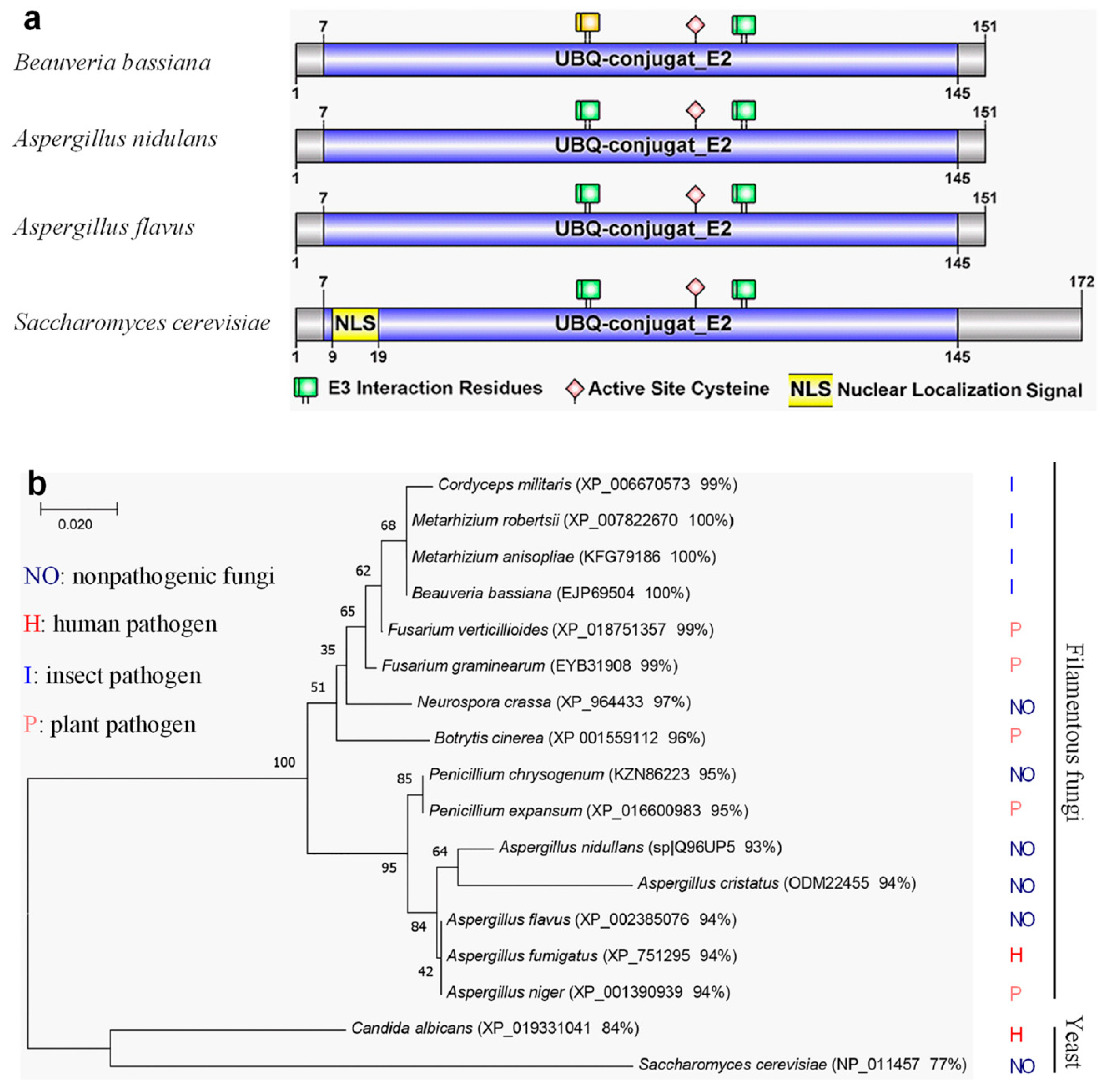 Jof 10 00613 g001 Jof 10 00613 g001