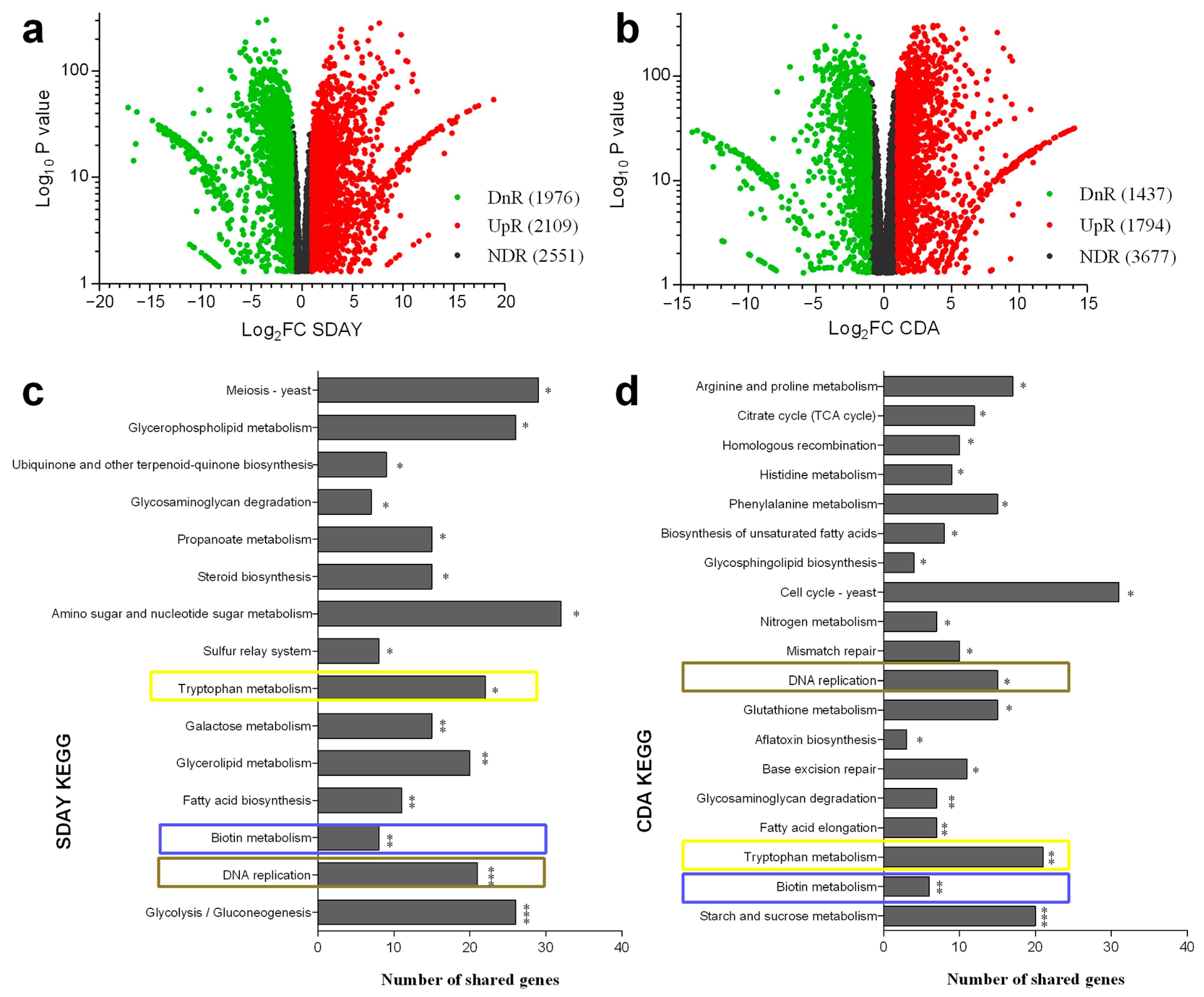 Jof 10 00613 g003 Jof 10 00613 g003