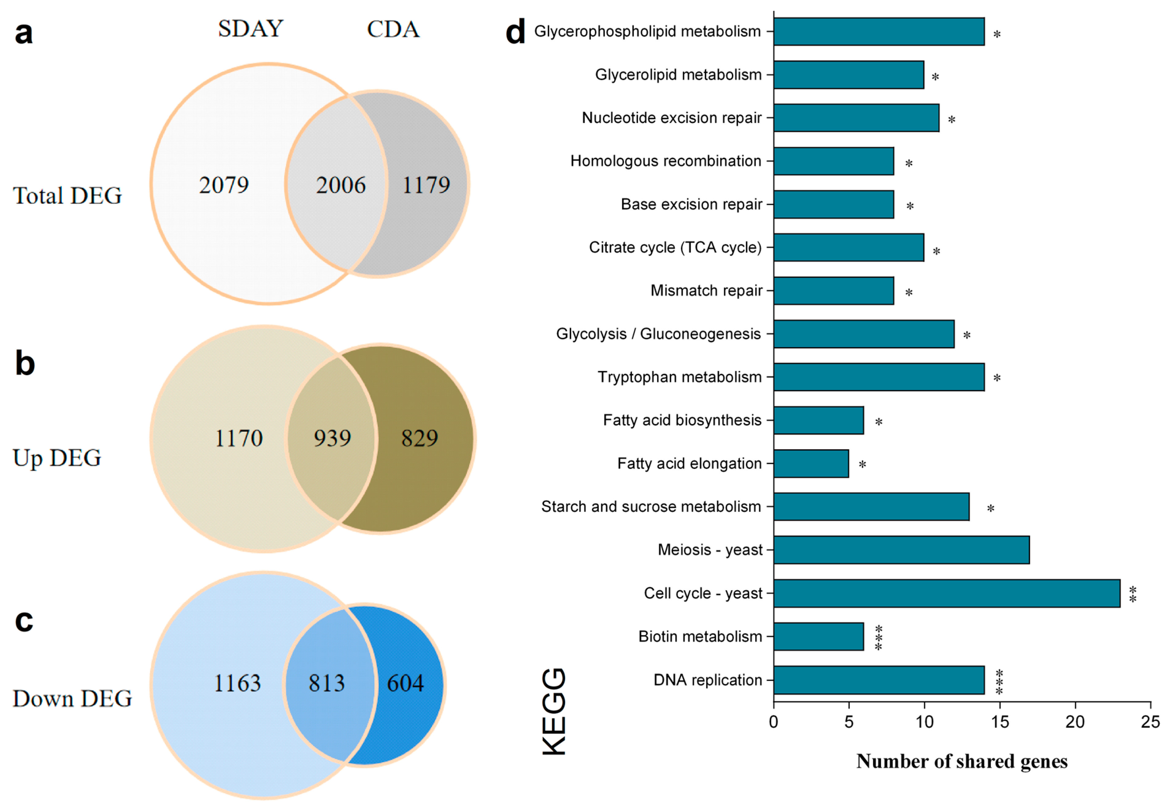 Jof 10 00613 g004 Jof 10 00613 g004