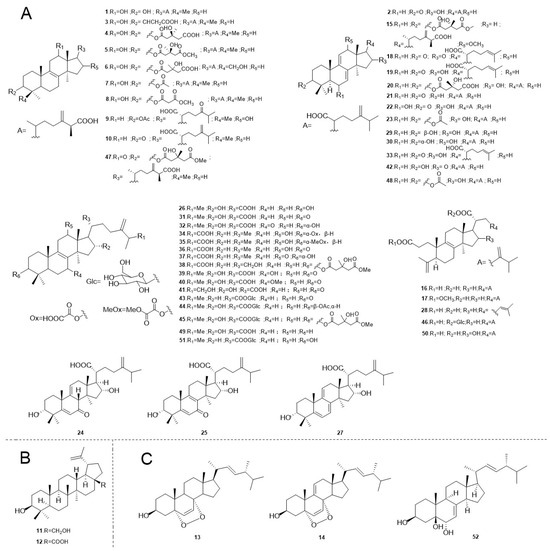 Secondary Metabolites of Fomitopsis betulina: Chemical Structures