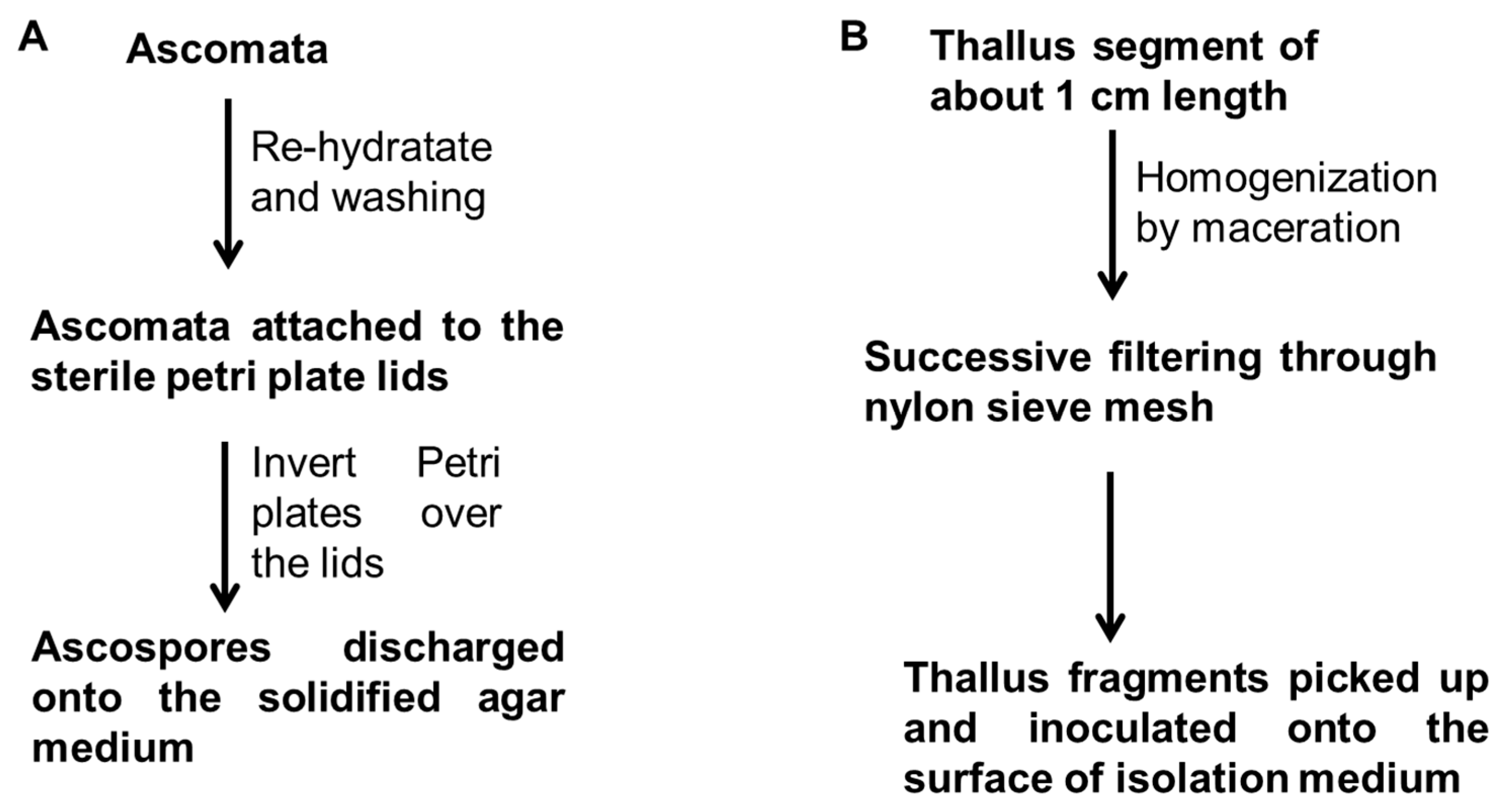 Jof 10 00621 g001 Jof 10 00621 g001