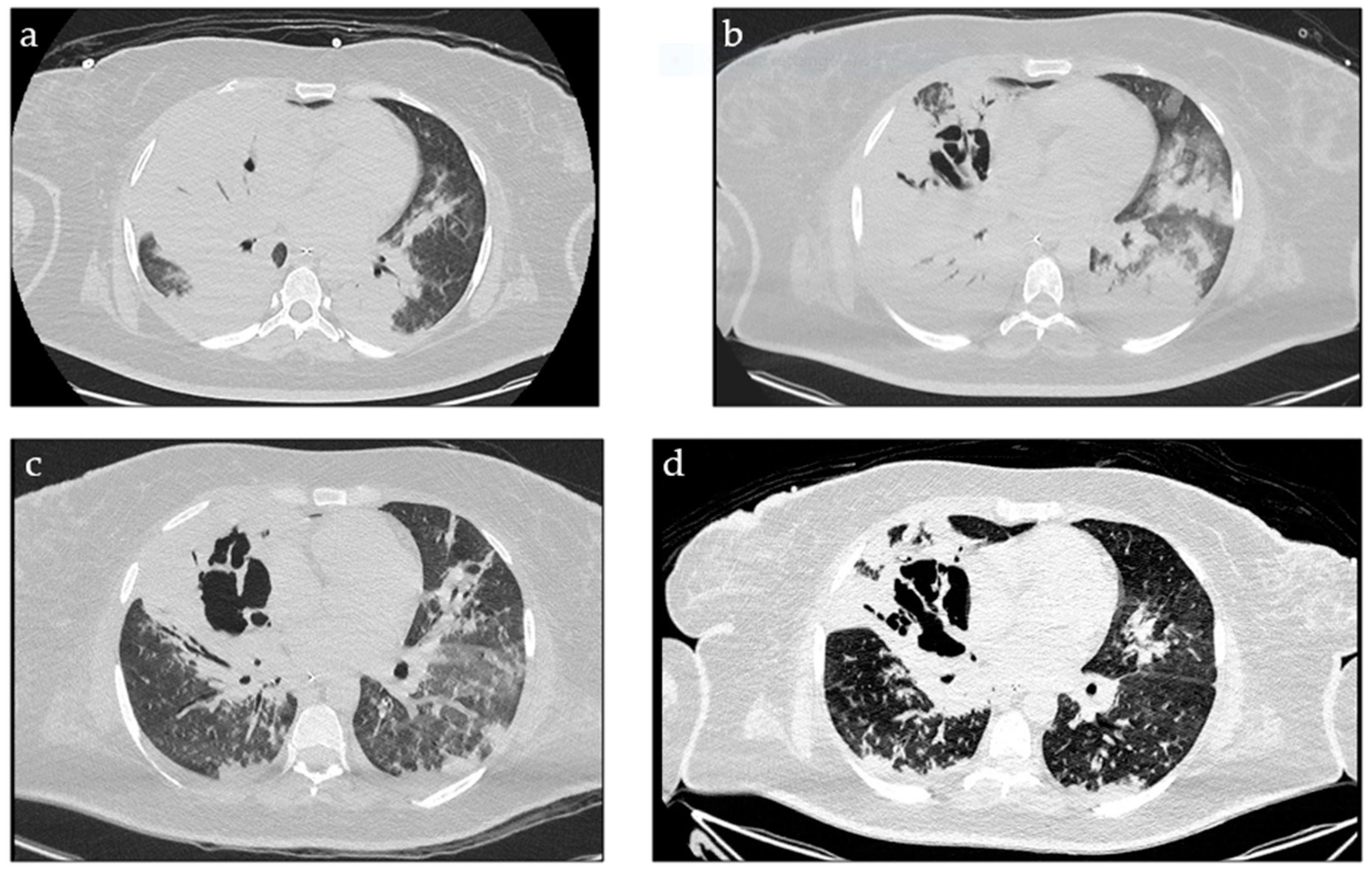 Jof 10 00639 g002 Jof 10 00639 g002