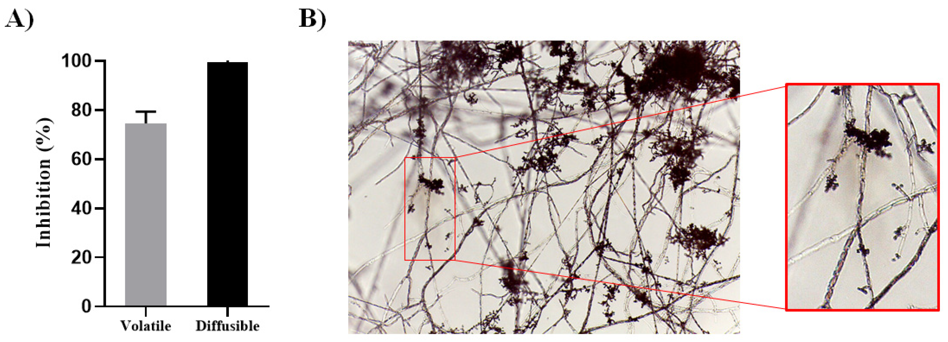 Jof 10 00671 g001 Jof 10 00671 g001