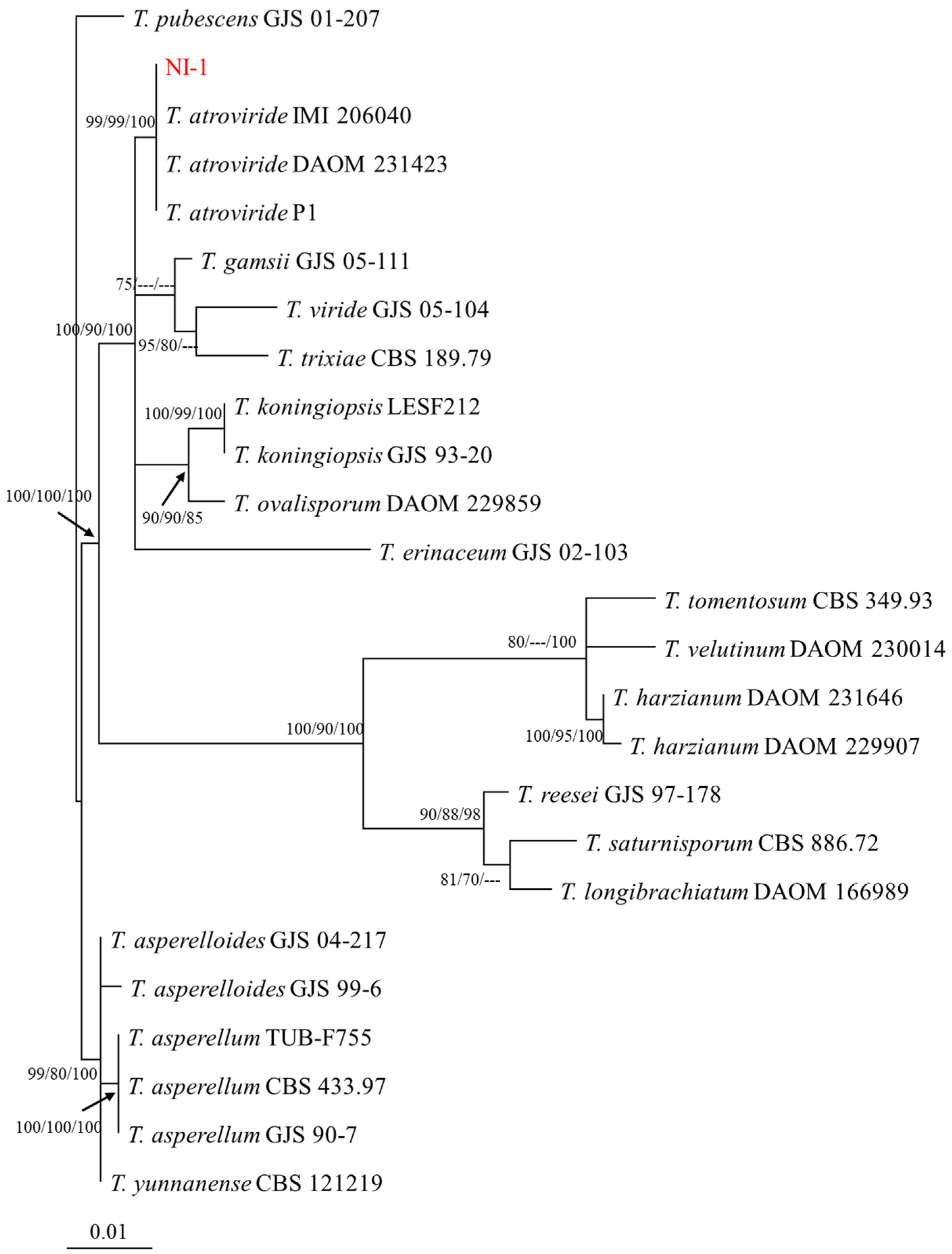 Jof 10 00671 g002 Jof 10 00671 g002