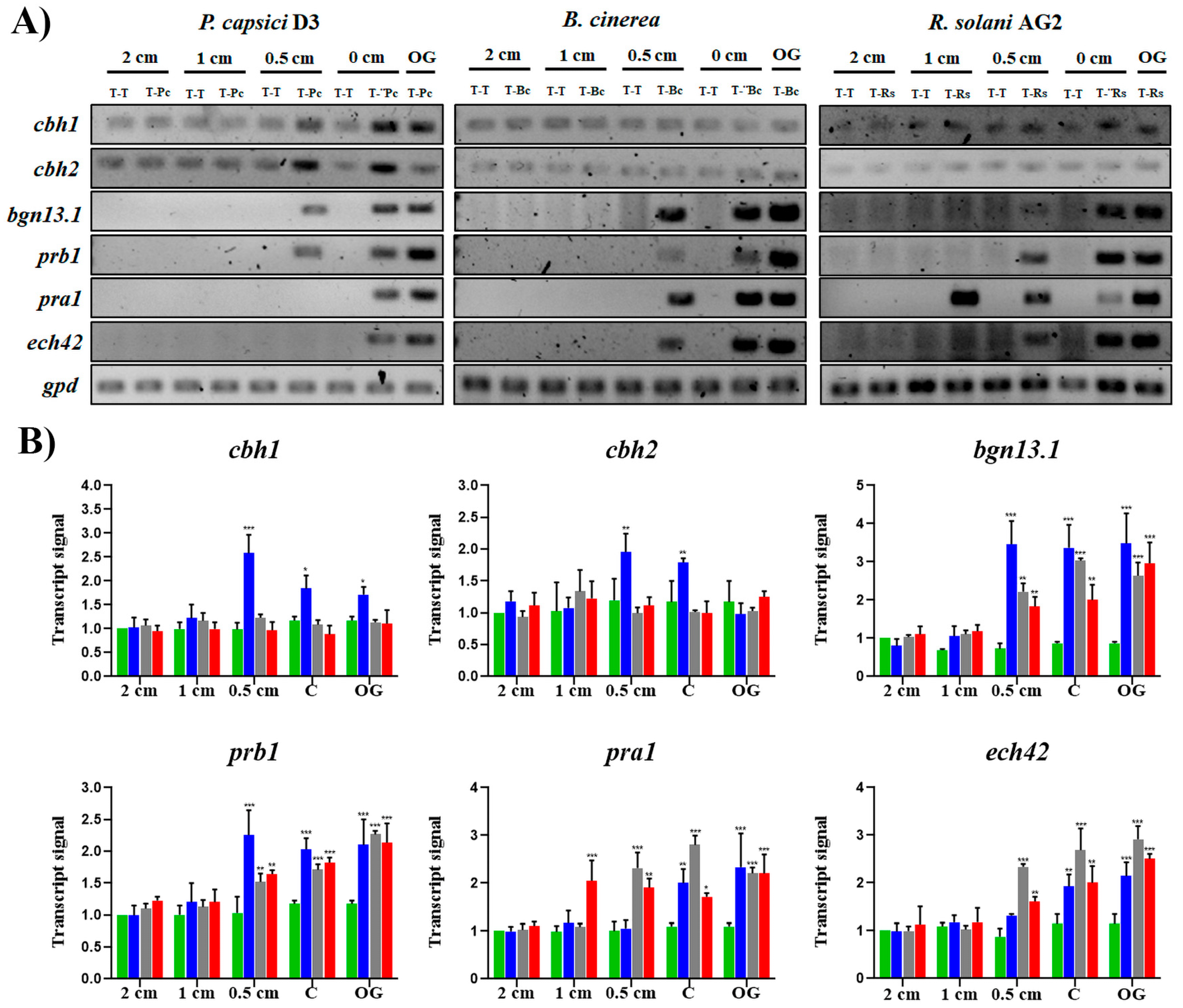 Jof 10 00671 g005 Jof 10 00671 g005
