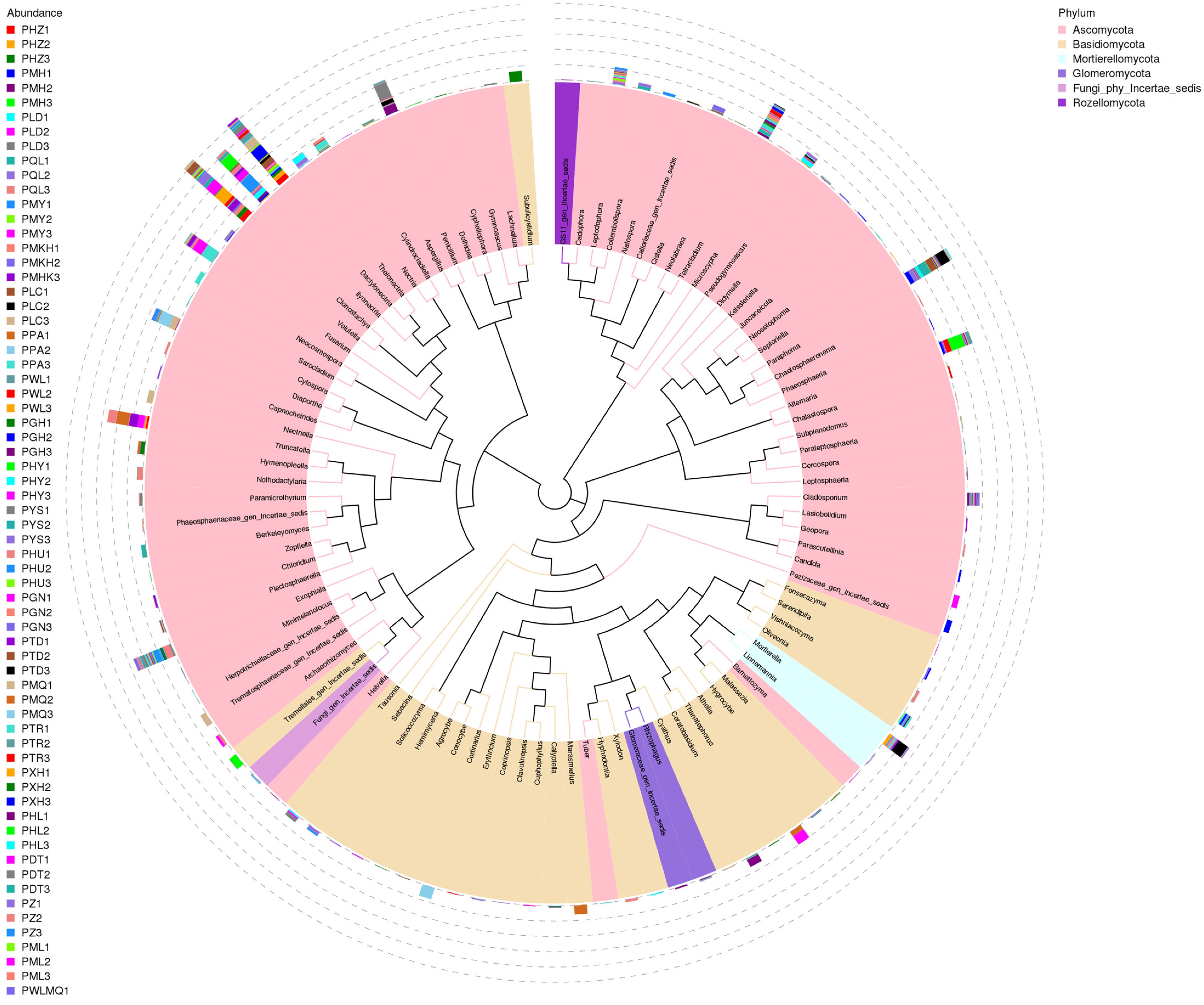 Jof 10 00679 g009 Jof 10 00679 g009