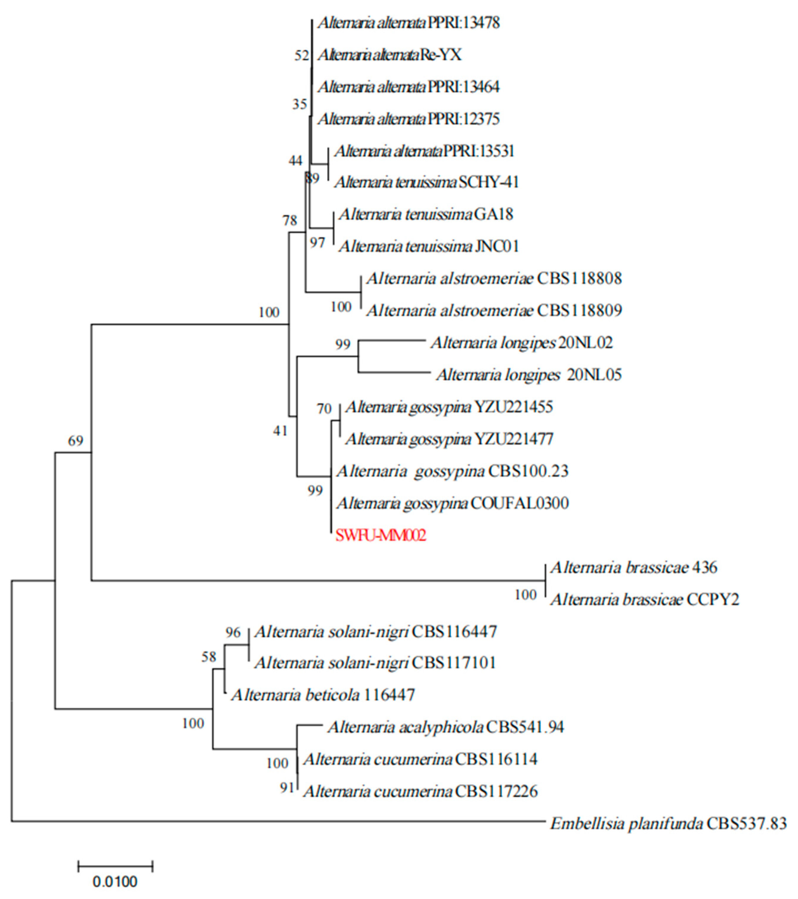 Jof 10 00691 g003 Jof 10 00691 g003