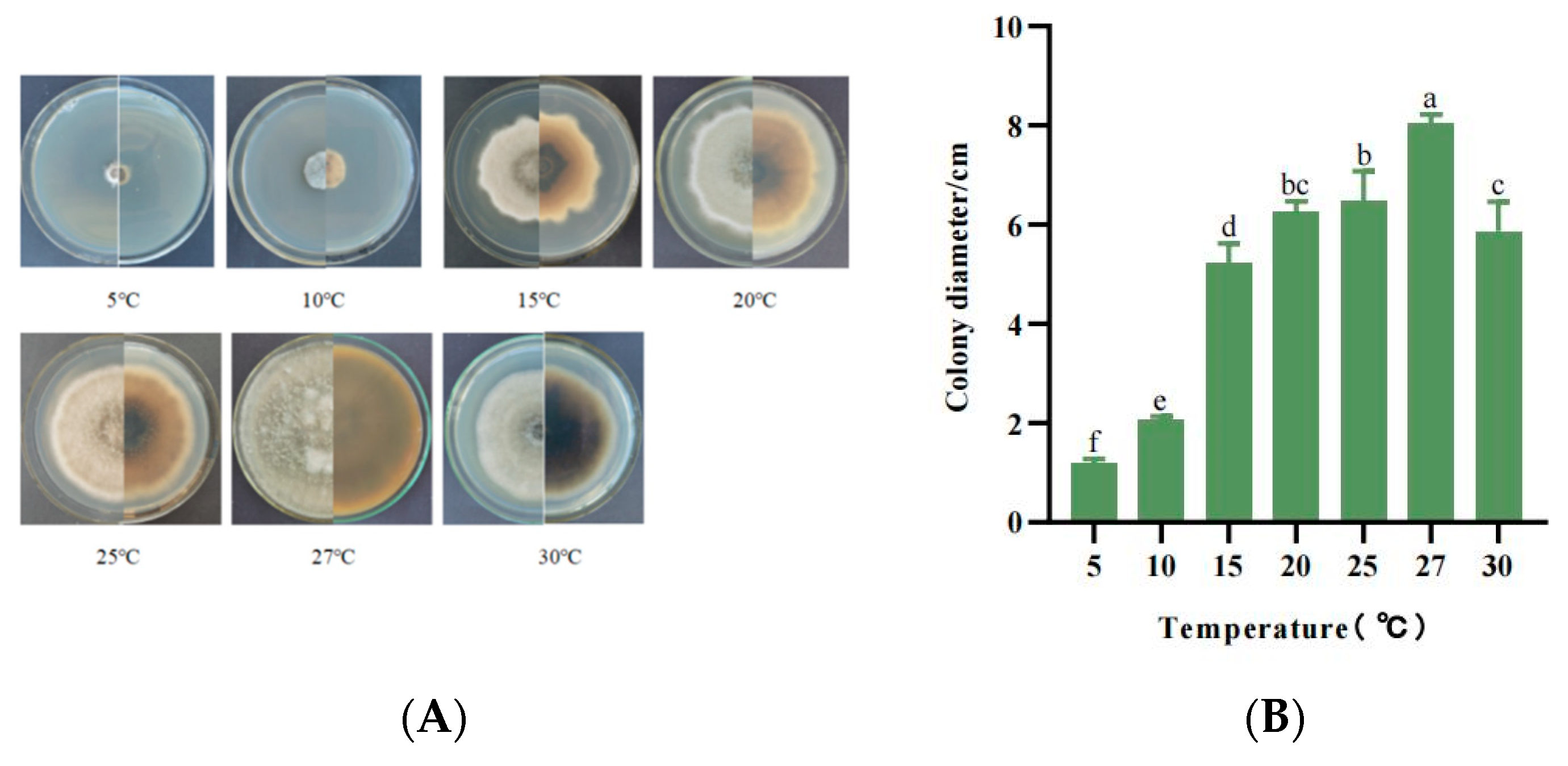Jof 10 00691 g006 Jof 10 00691 g006
