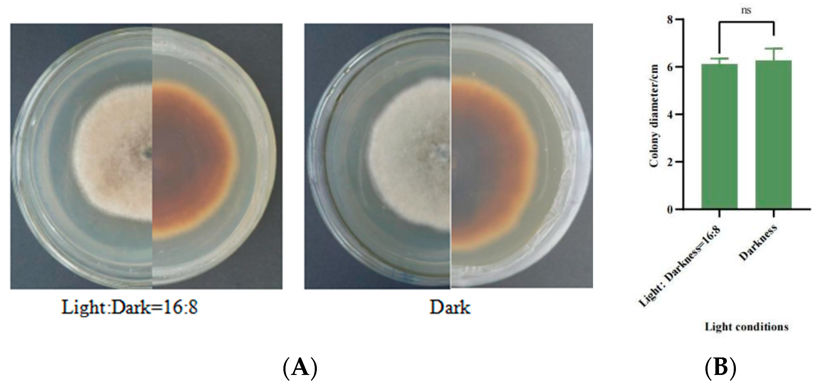 Jof 10 00691 g009 Jof 10 00691 g009