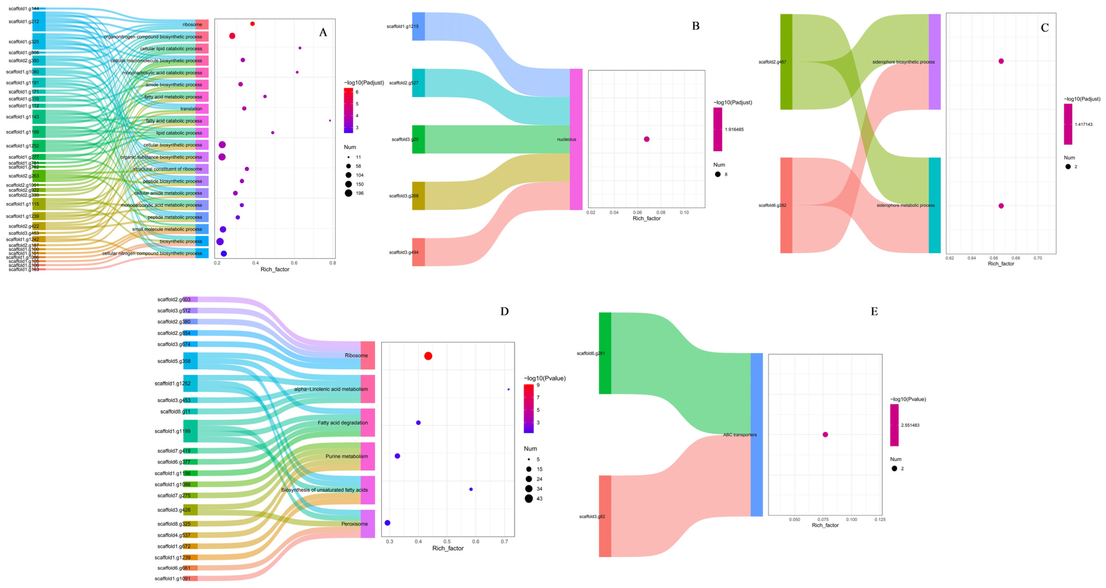 Jof 10 00721 g008 Jof 10 00721 g008