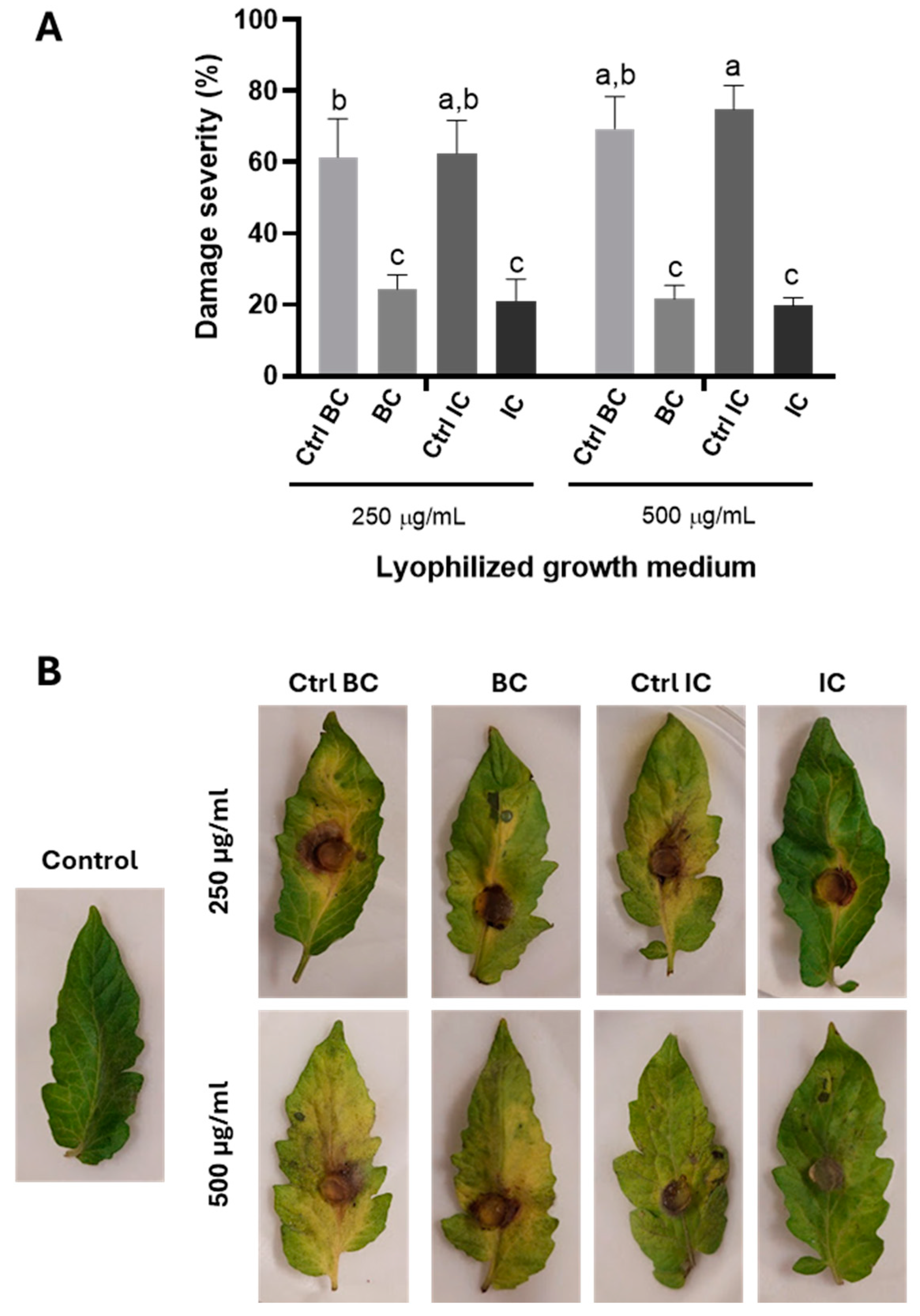 Jof 10 00758 g008 Jof 10 00758 g008