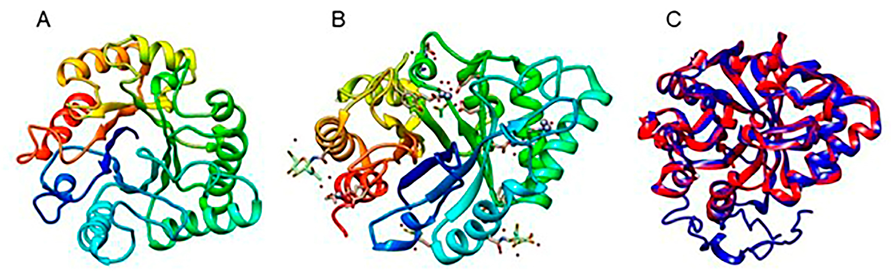 Jof 10 00758 g013 Jof 10 00758 g013