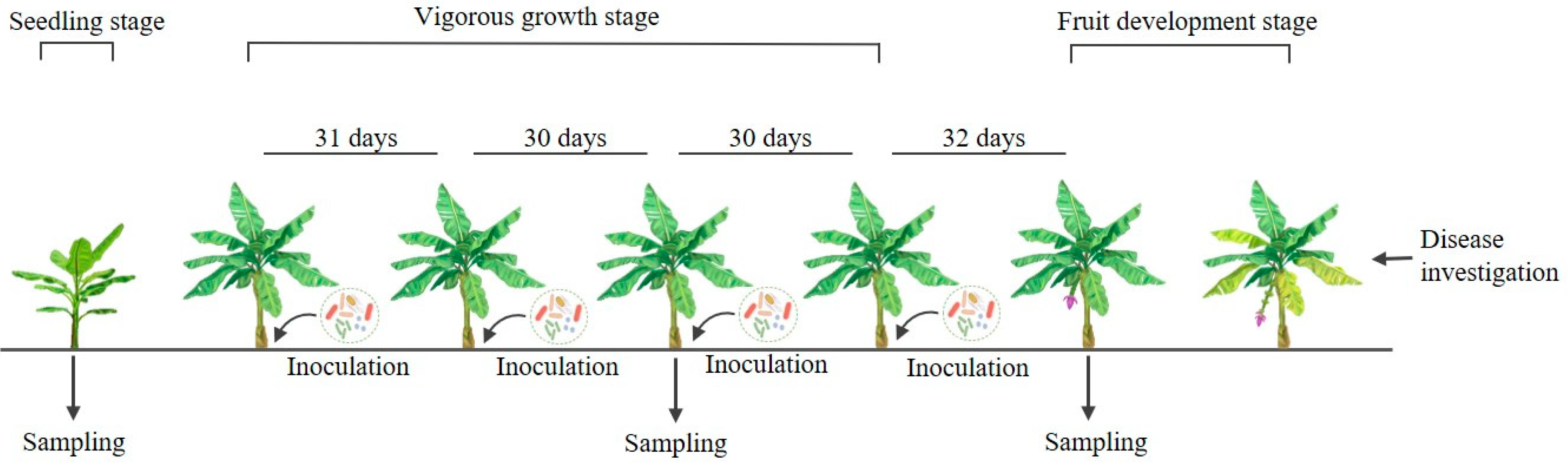 Jof 10 00771 g001 Jof 10 00771 g001
