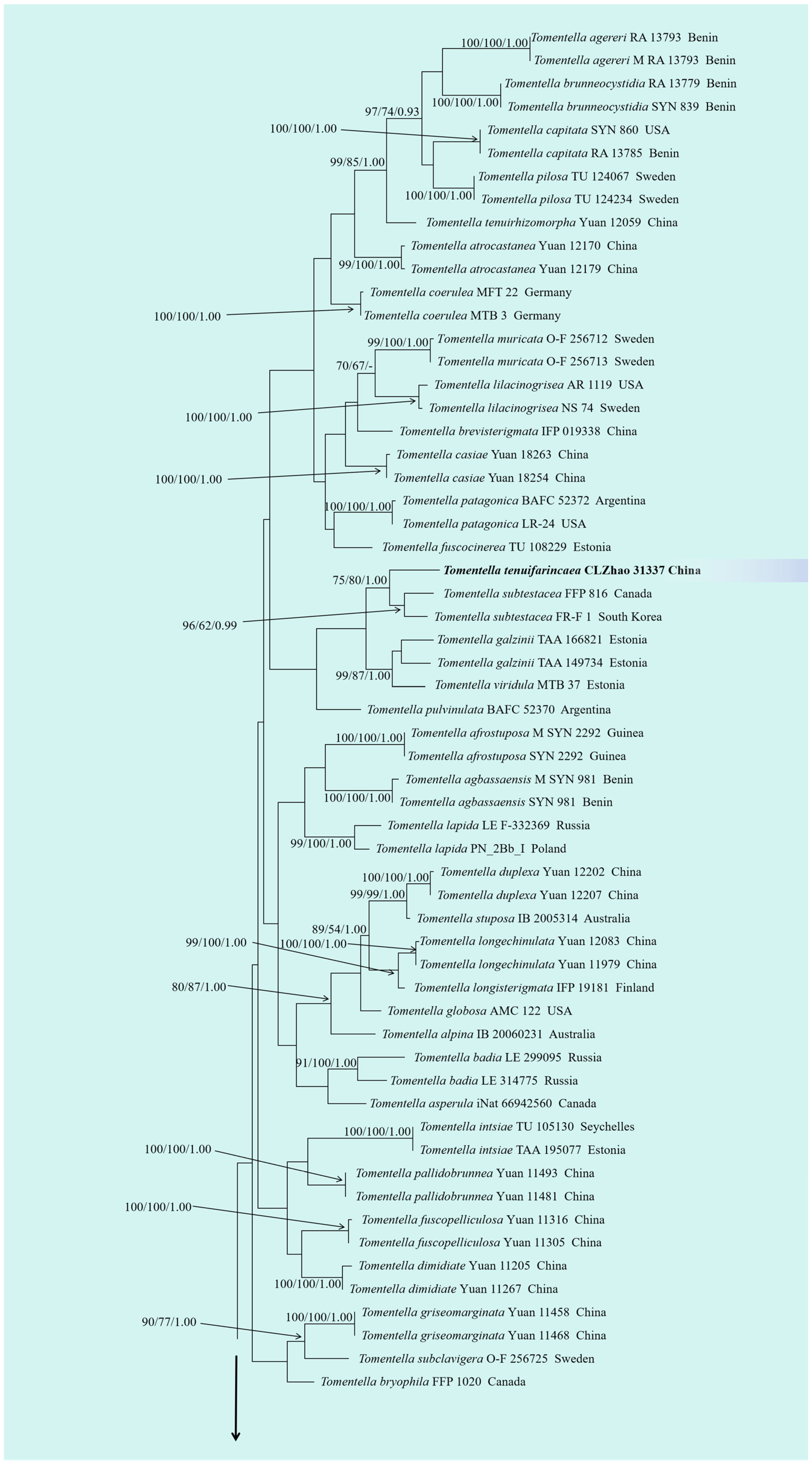 Jof 10 00775 g003a Jof 10 00775 g003a